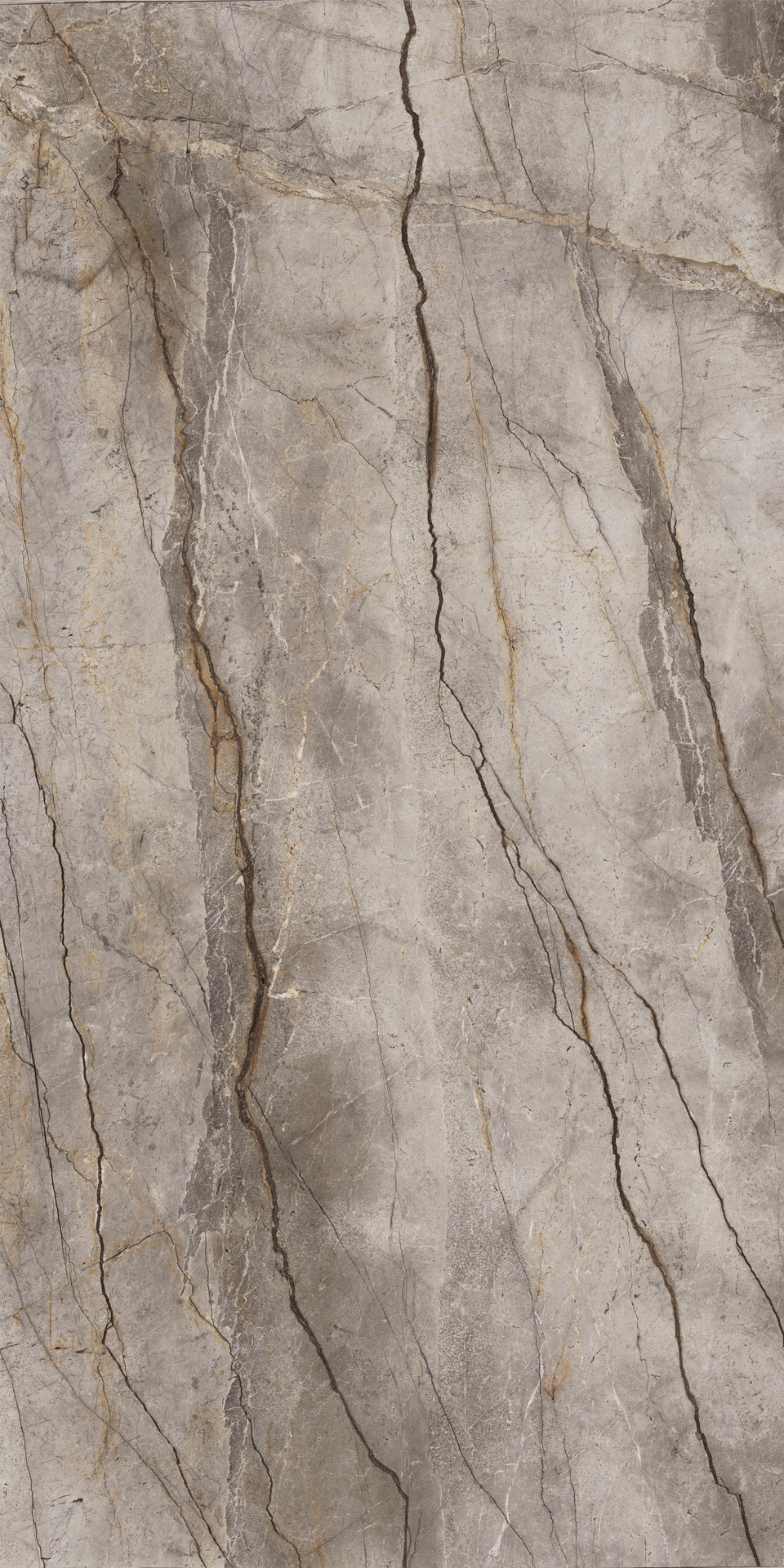 Silver root | tafelblad recht | rechte randafwerking