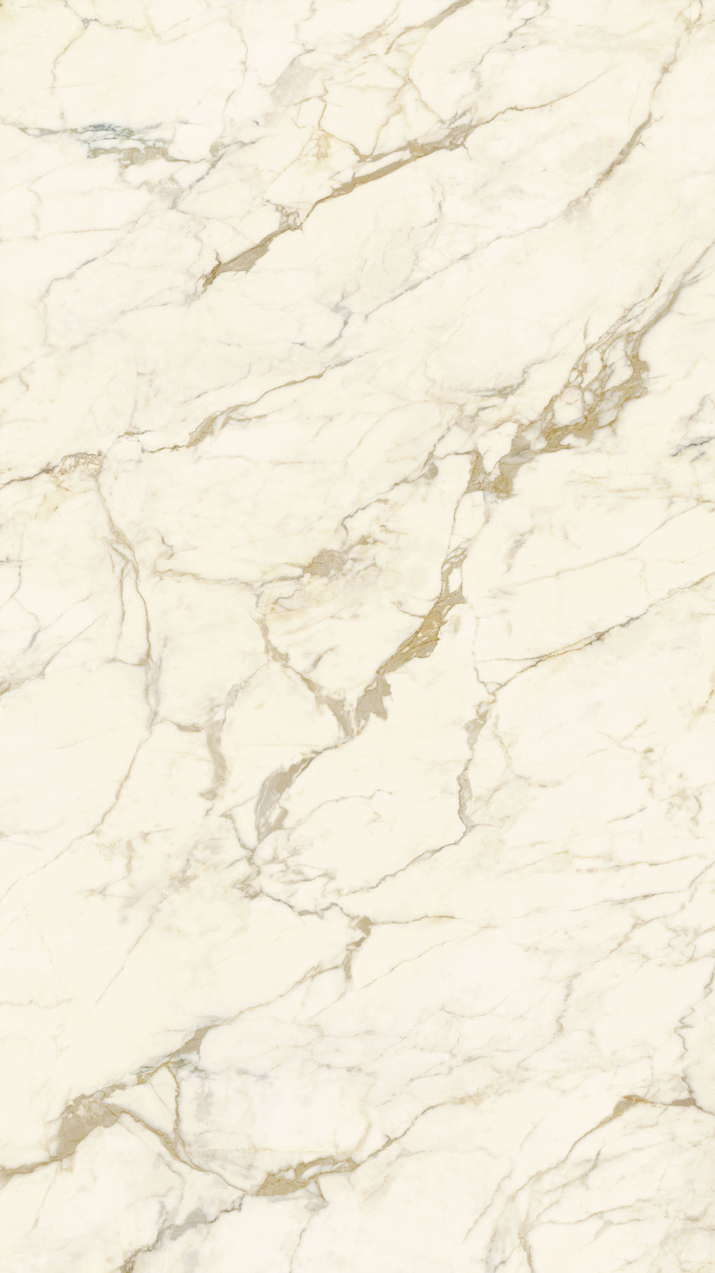 Calacatta borghini XL