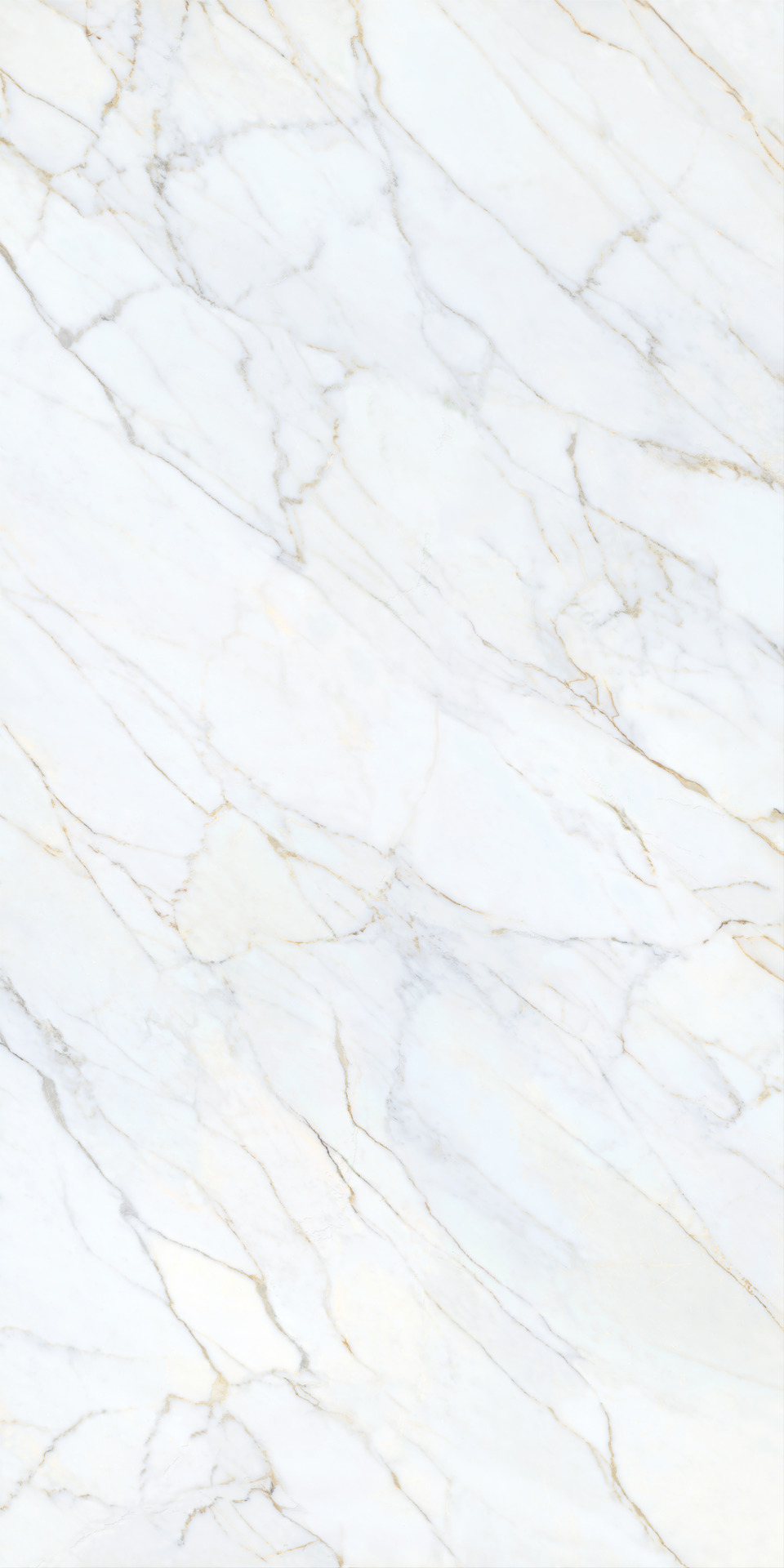 Calacatta supreme