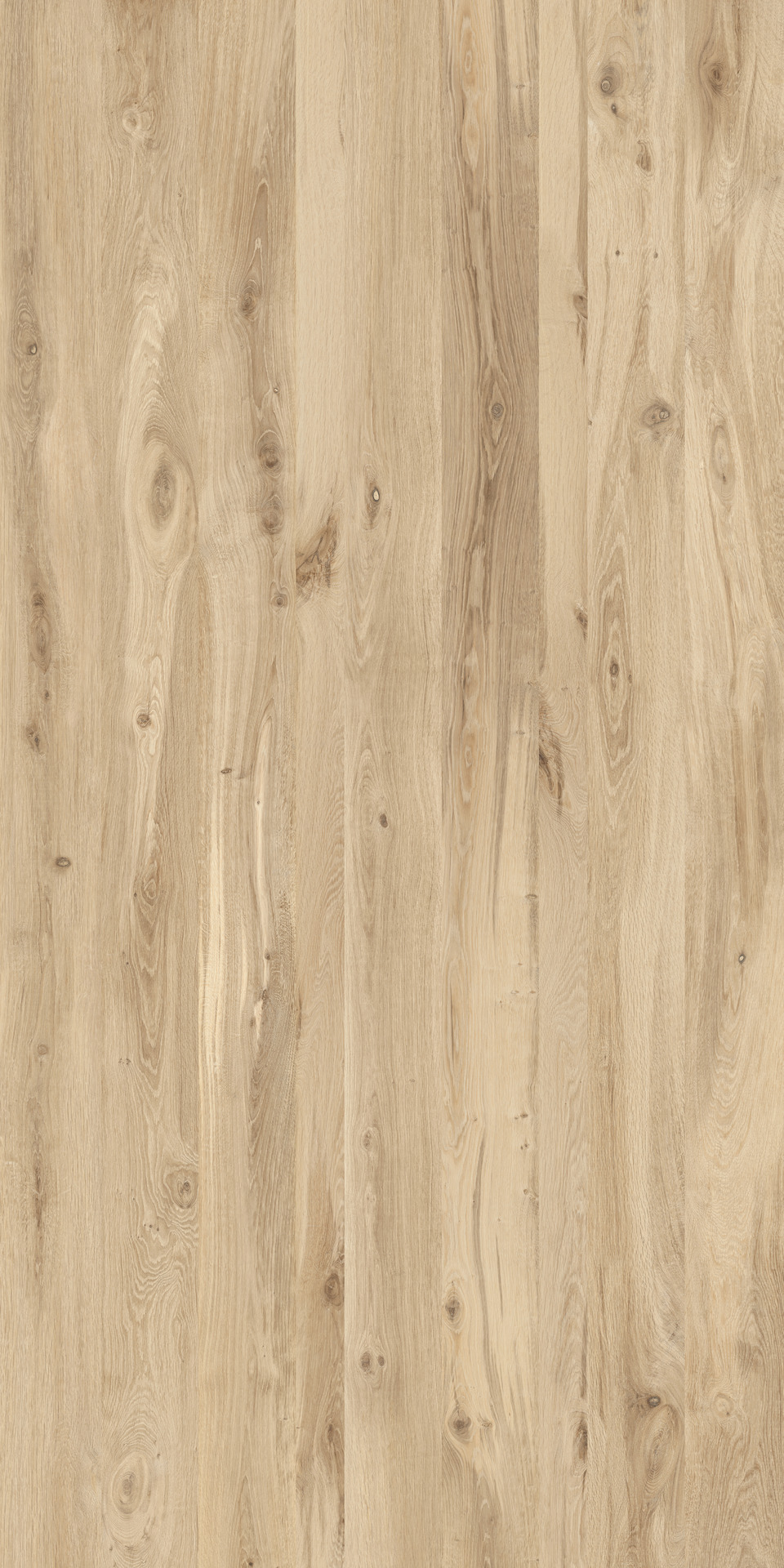 Oak