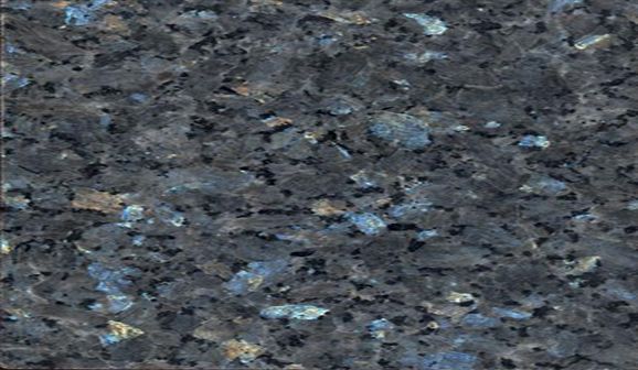 Labrador blue extra