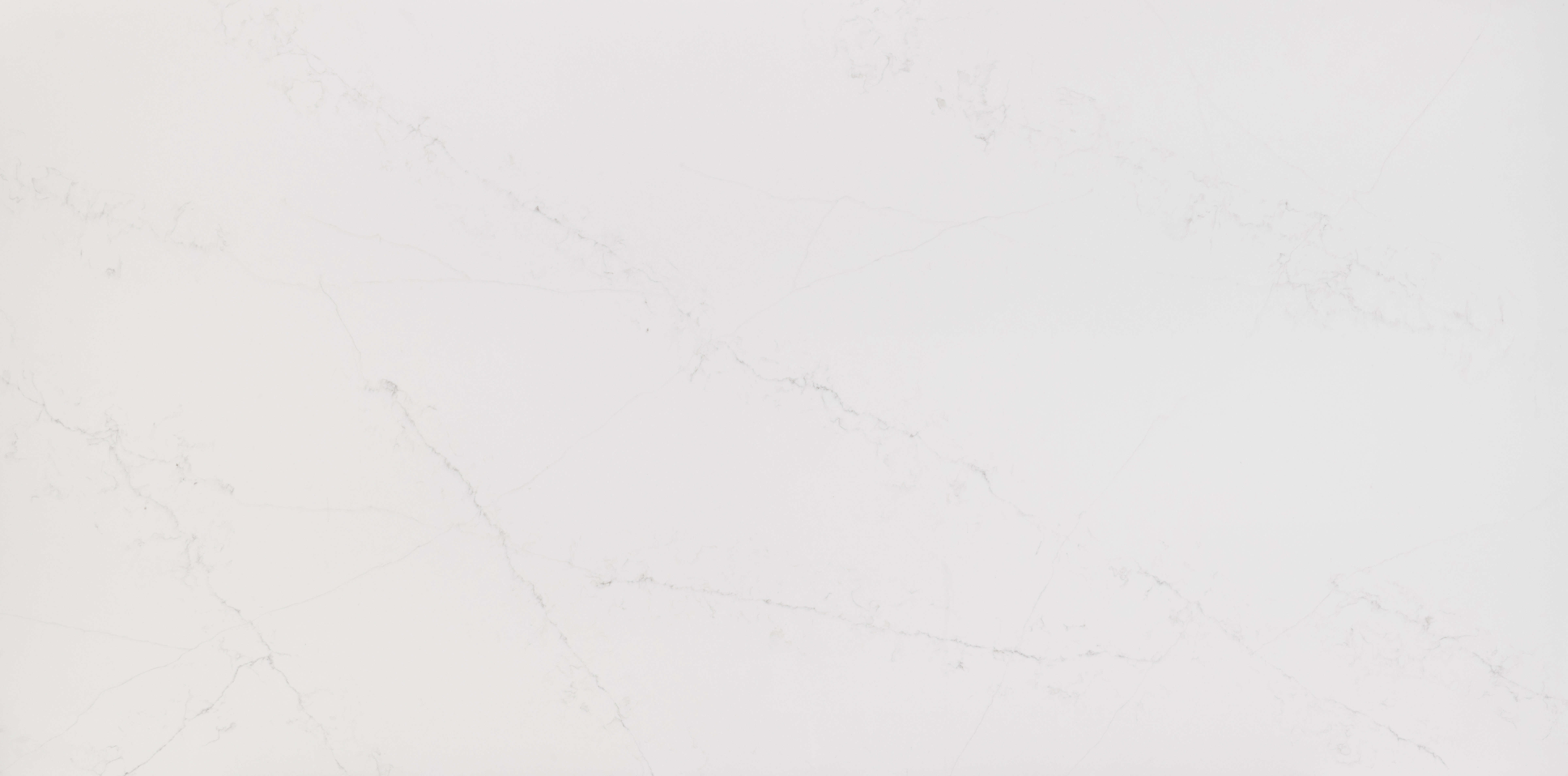 Q-line white swan