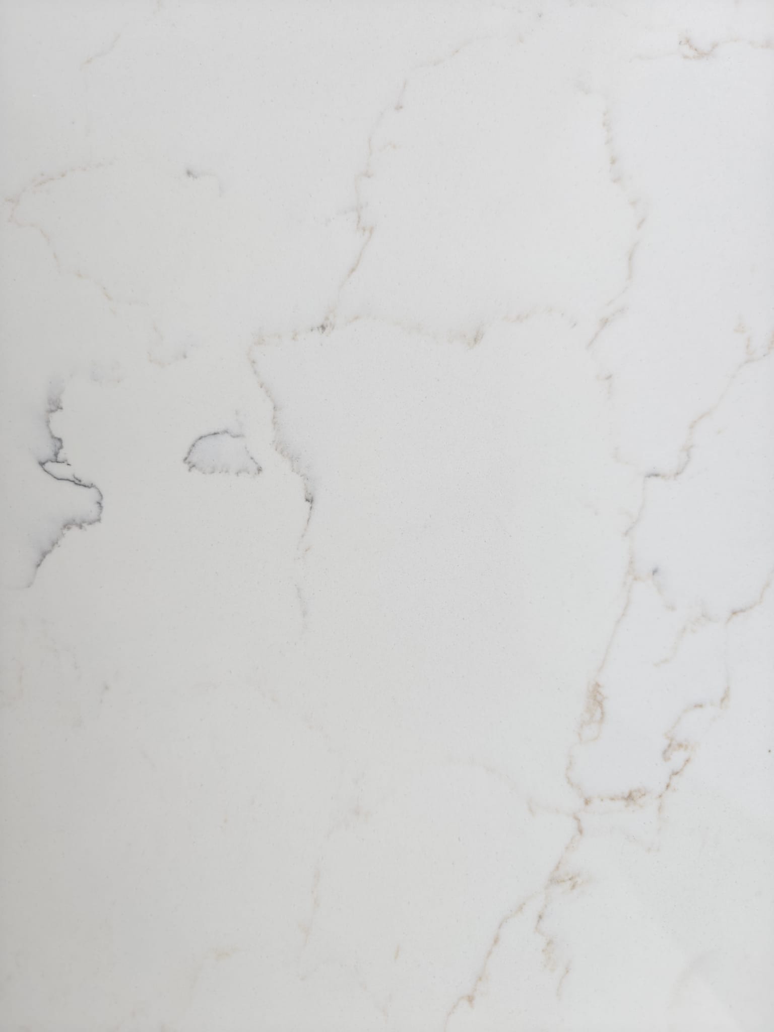 U-line muse gaulloise 26