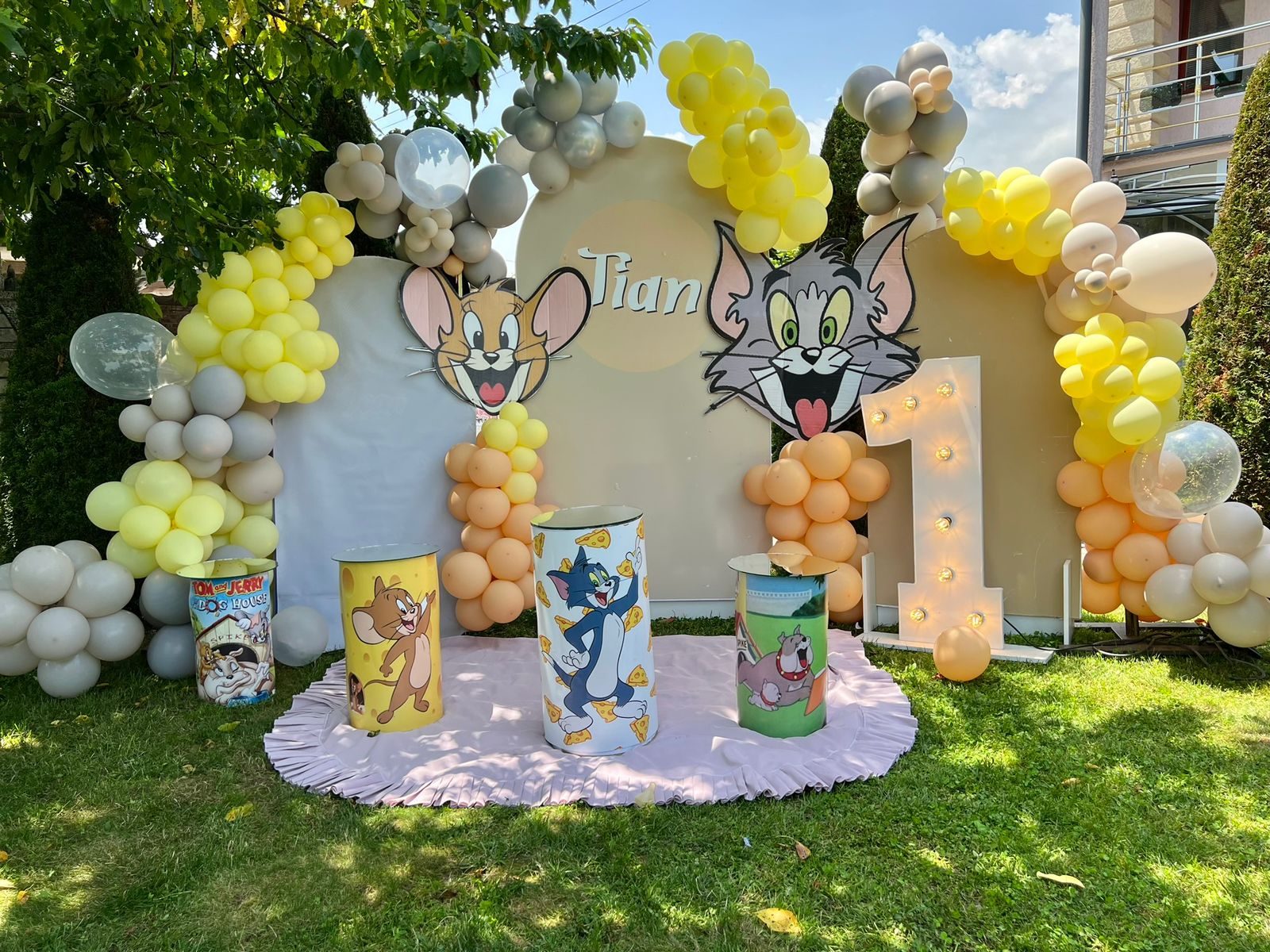 Tom and Jerry Themed Party Decorations