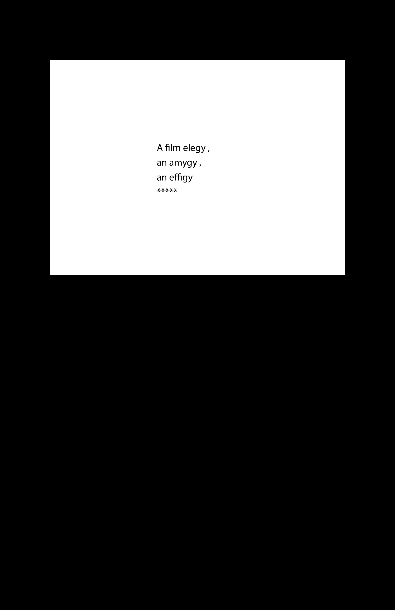 FILM ELEGY by Laura Paul