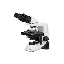 Compound Microscope