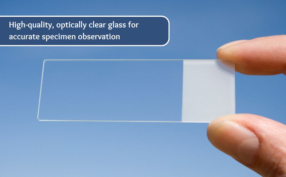 Microscope Slide