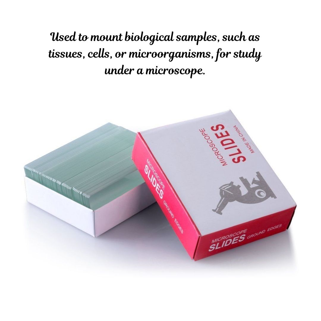 Microscope Slides