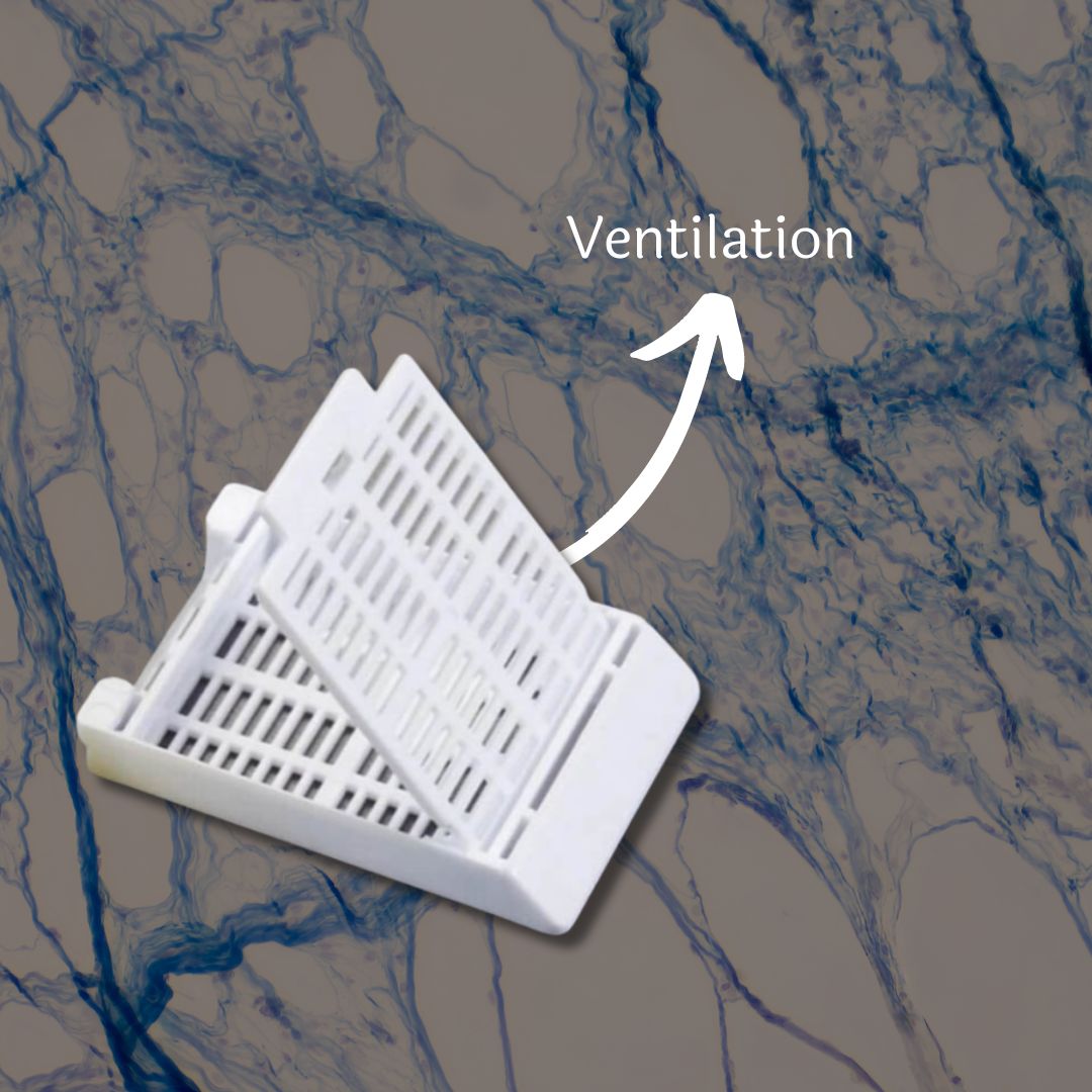 Plastic embedding cassatte for histopathology pack of 100pcs