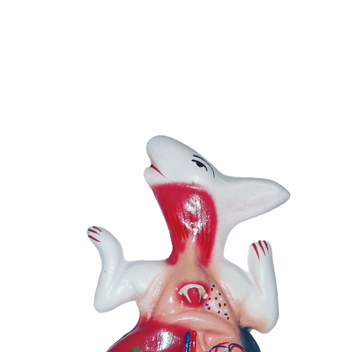 RABBIT DISSECTION MODEL