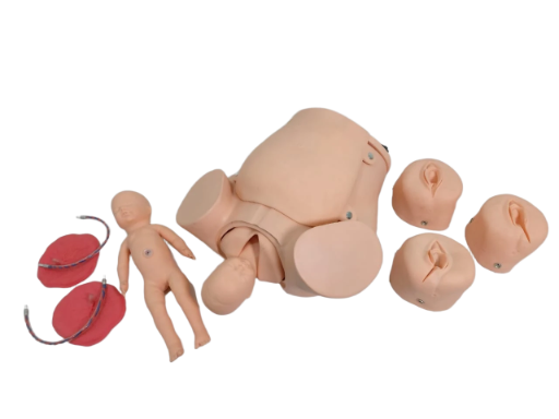 advance childbirth simulator manikin