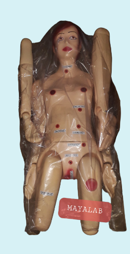 female nursing manikin