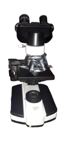 binocular microscope