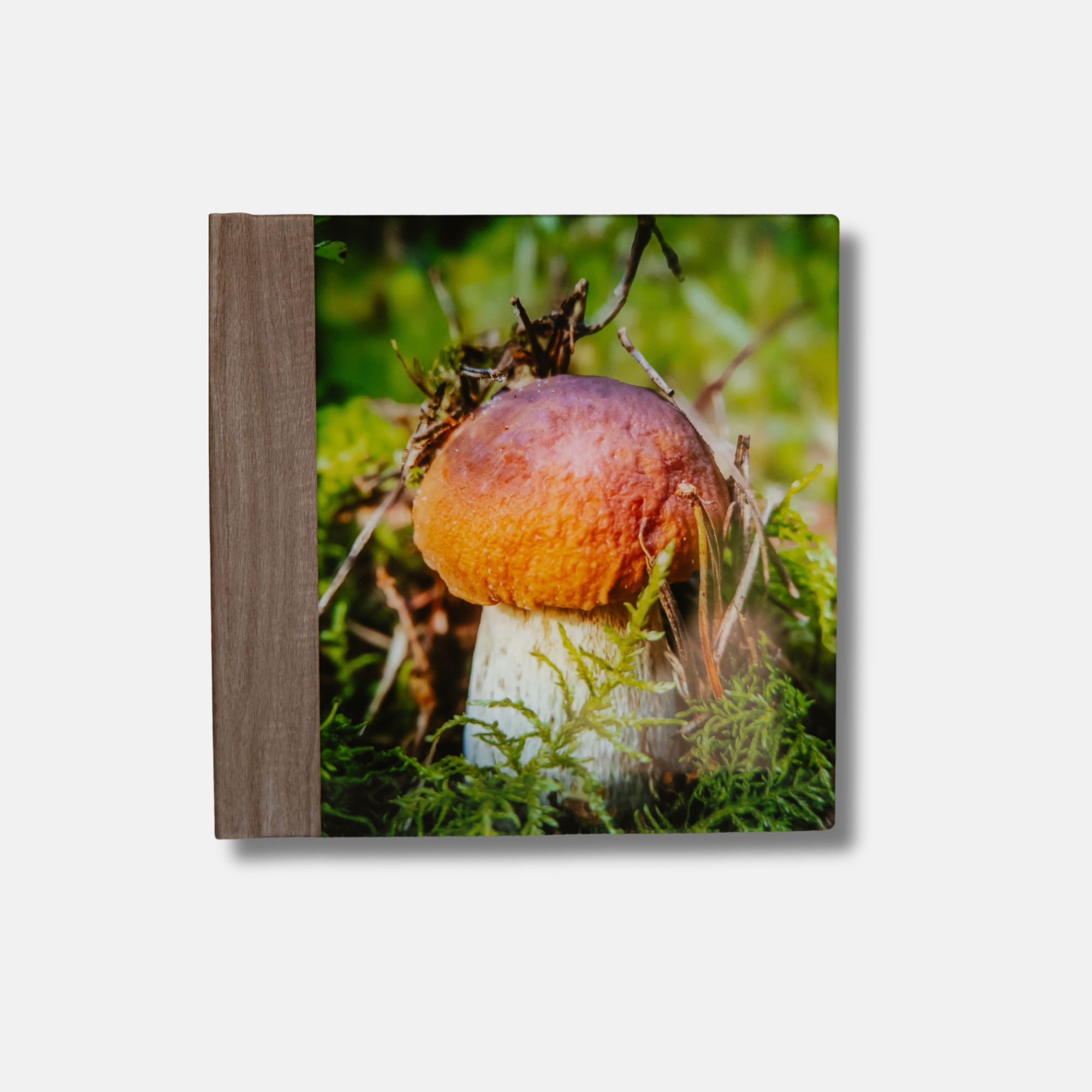 Delux fotolbumas akriliniu viršeliu, 21x21 formatas