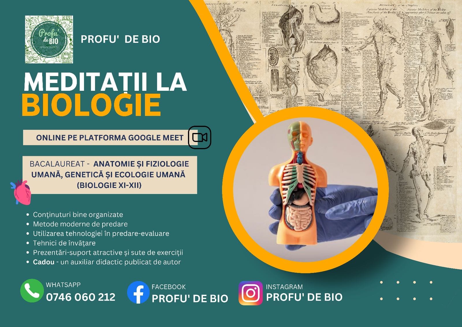 CURS ONLINE - meditație biologie