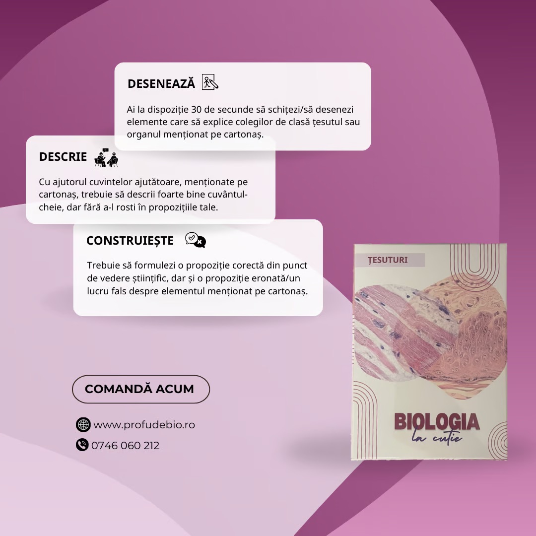 Clasa a VI-a - pachet jocuri educative