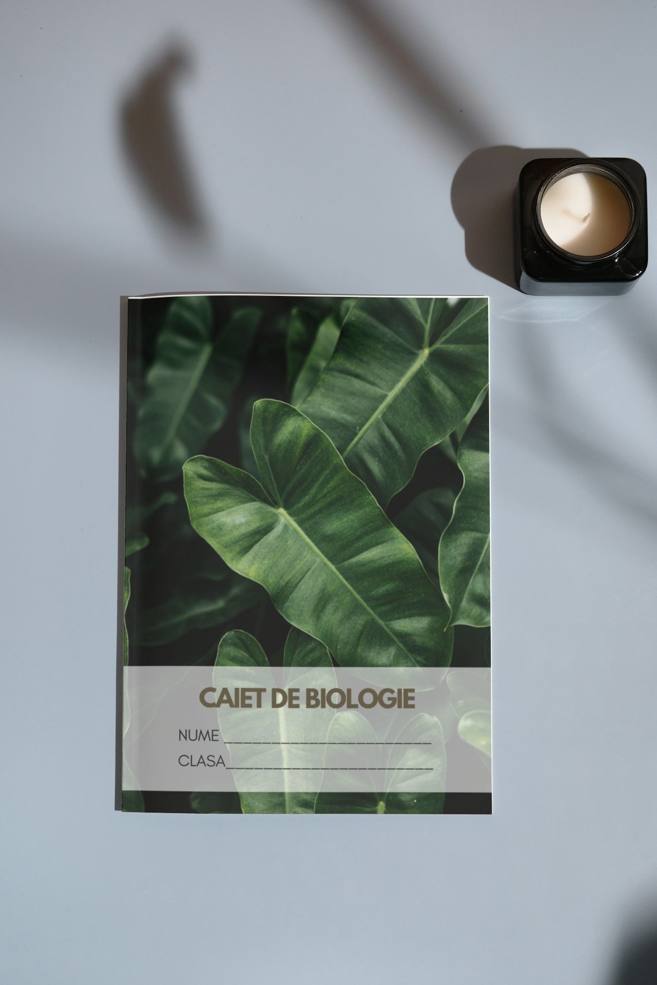 Caiet de biologie BOTANICĂ - organizare lecții