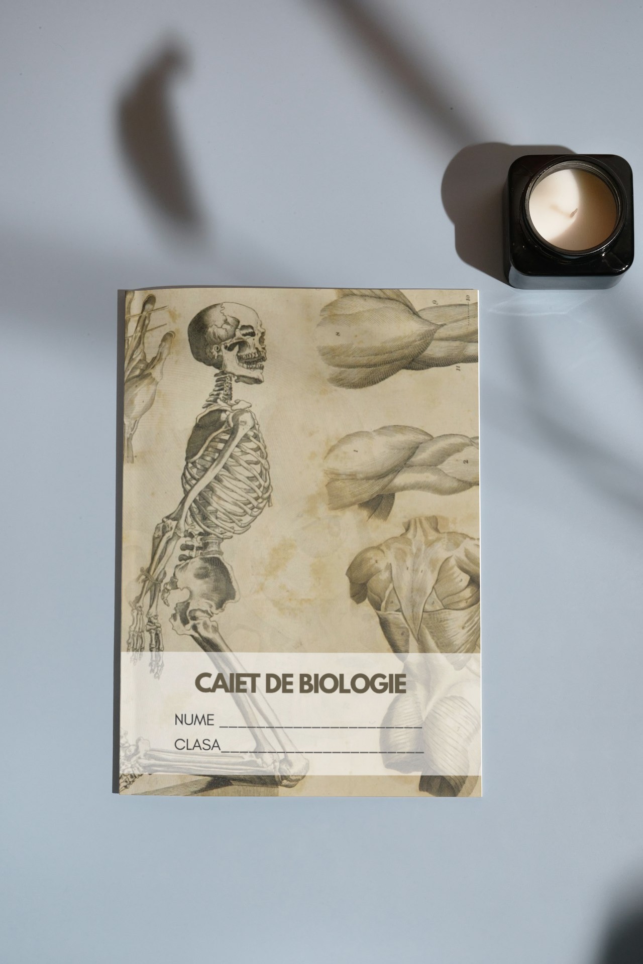 Caiet de biologie ANATOMIE - organizare lecții 
