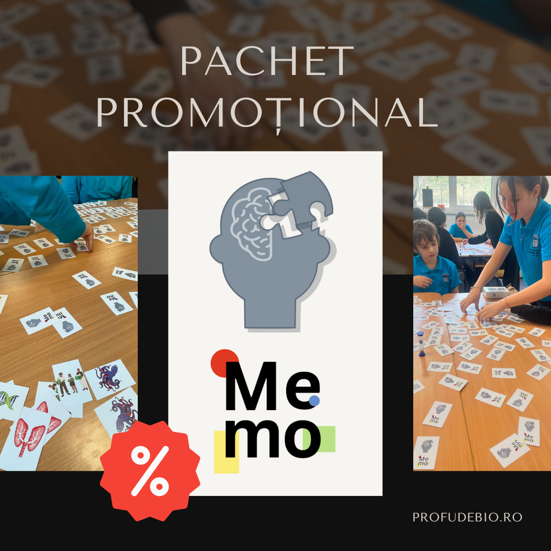 Pachet MEMO - 4 jocuri educative de atenție și memorare 
