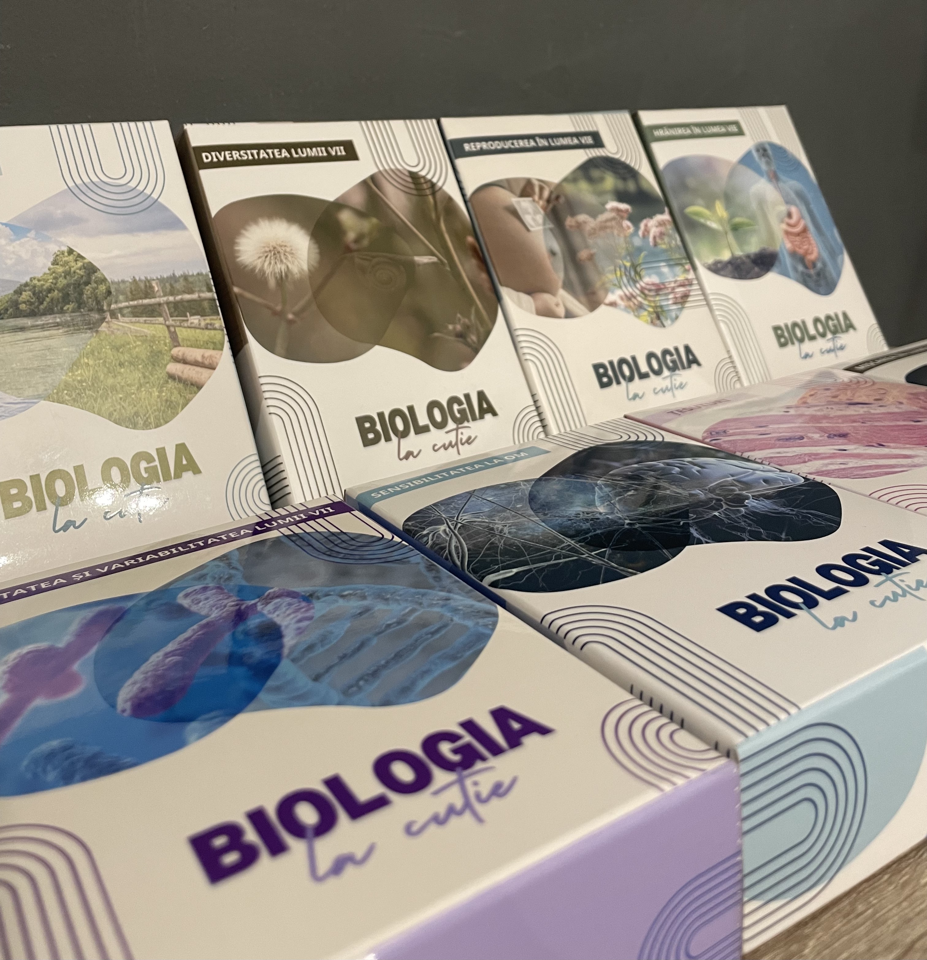 Pachet 8 jocuri - Biologia la cutie
