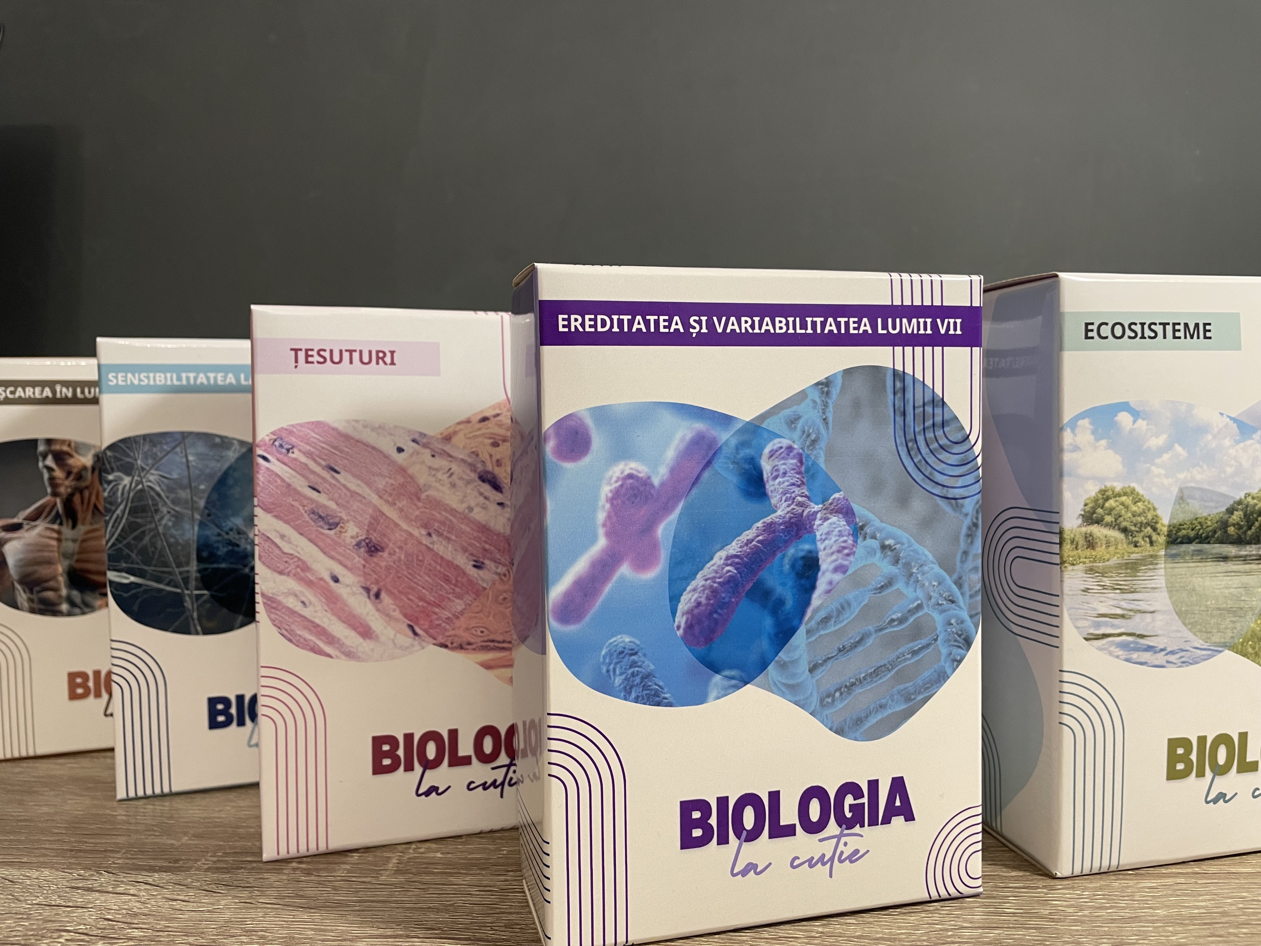Pachet 8 jocuri - Biologia la cutie
