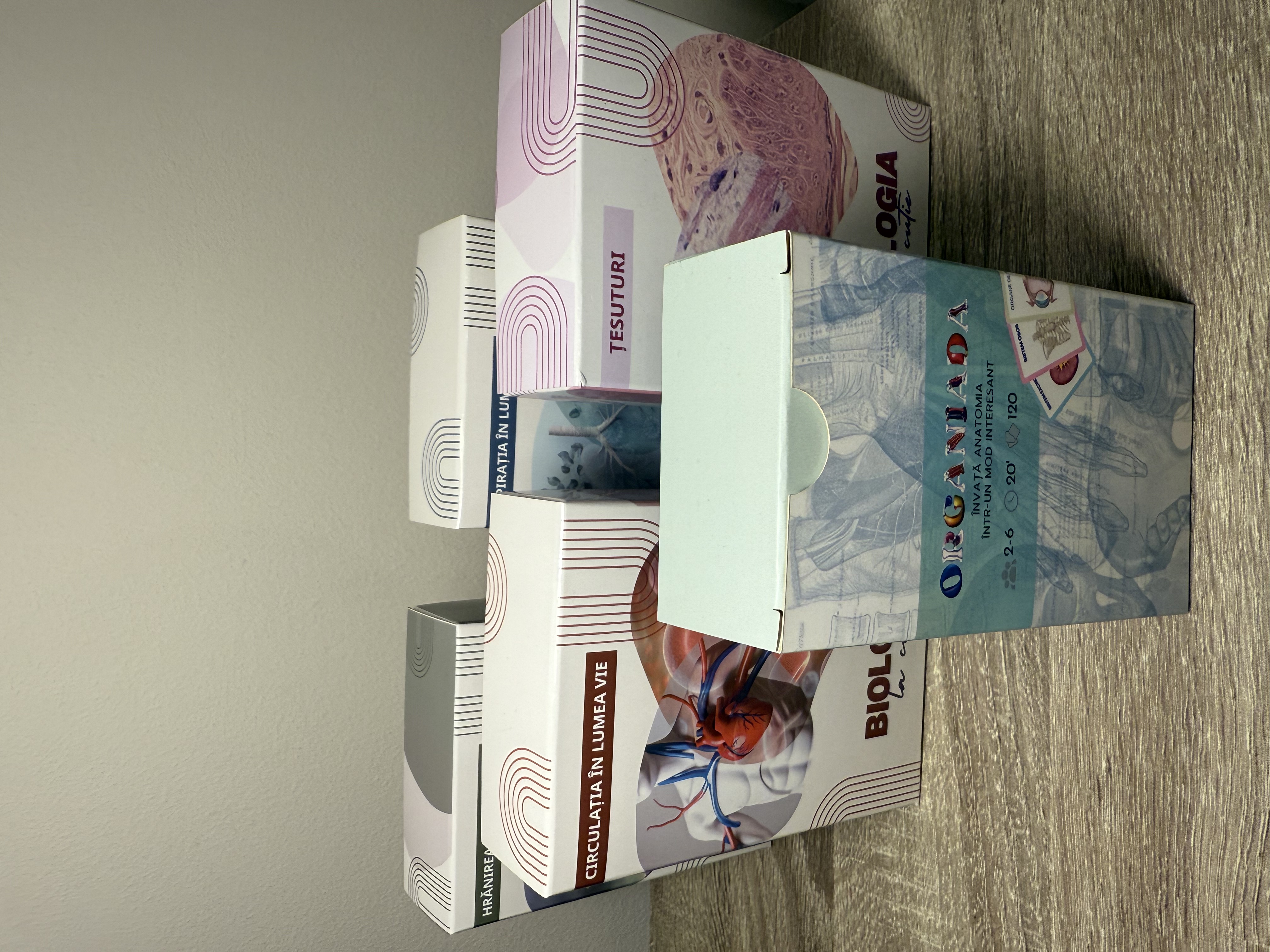 Clasa a VI-a - pachet jocuri educative