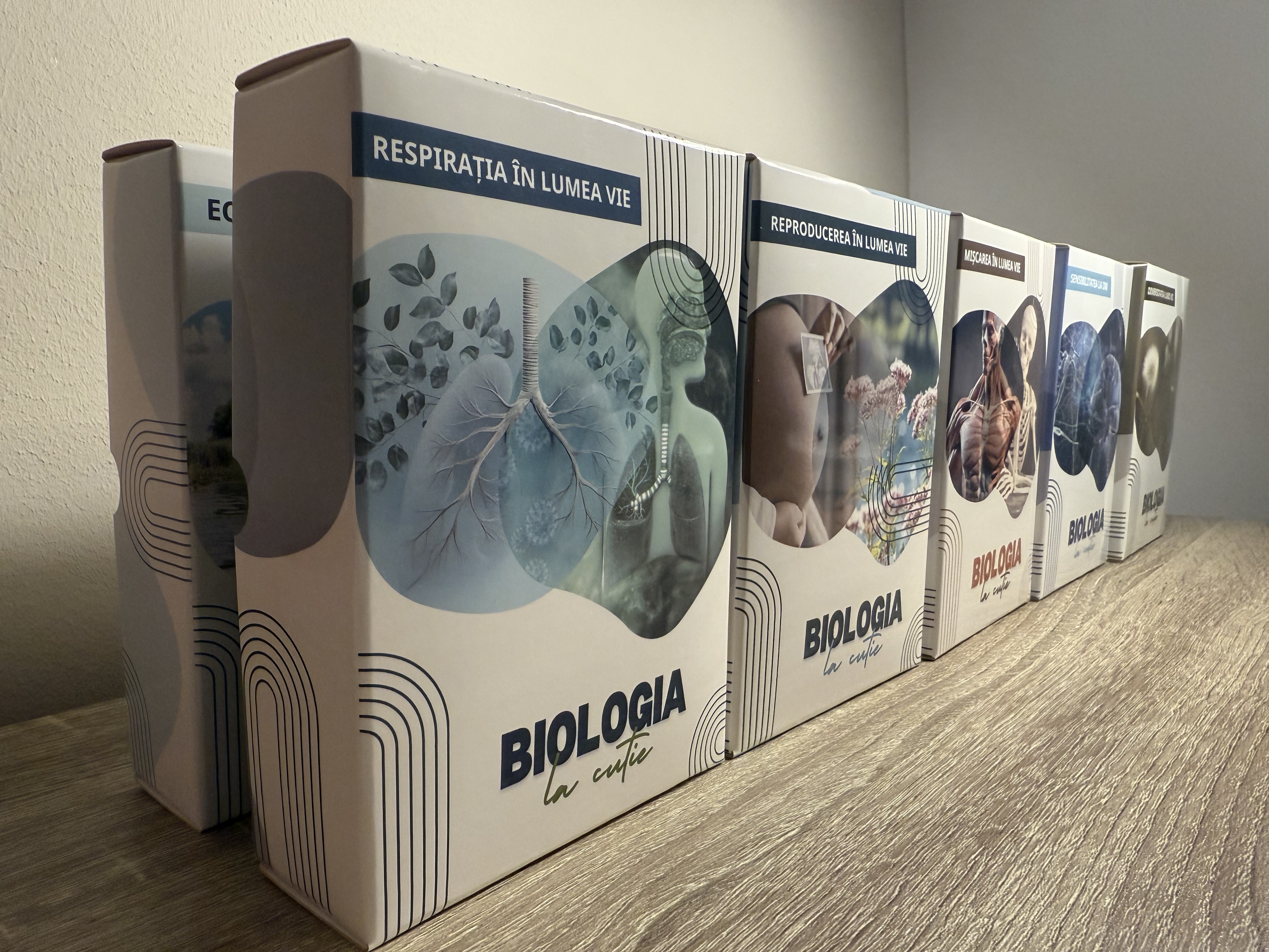 Pachet 10 jocuri educative - Biologia la cutie