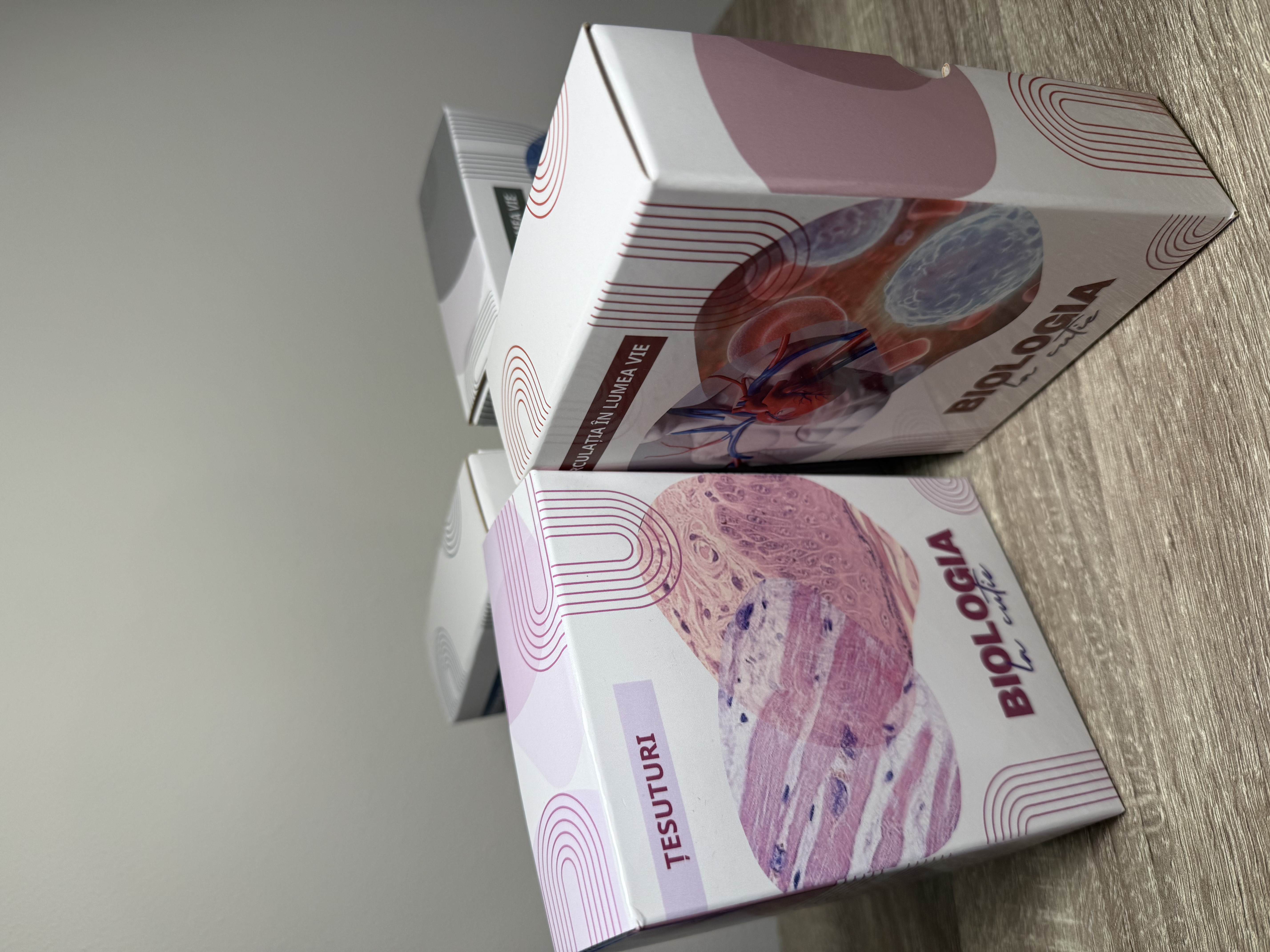 Clasa a VI-a - Biologia la cutie