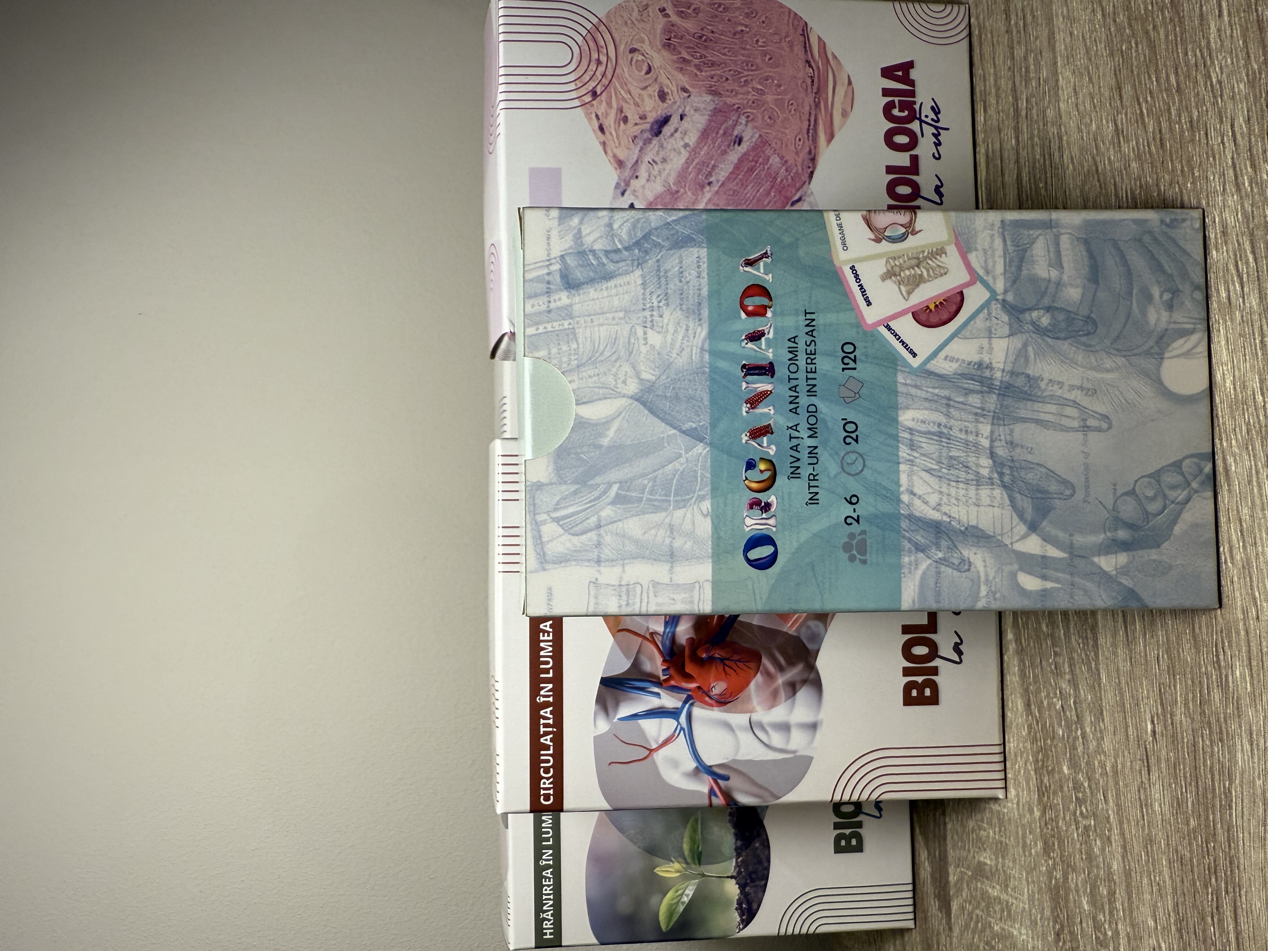 Clasa a VI-a - pachet jocuri educative