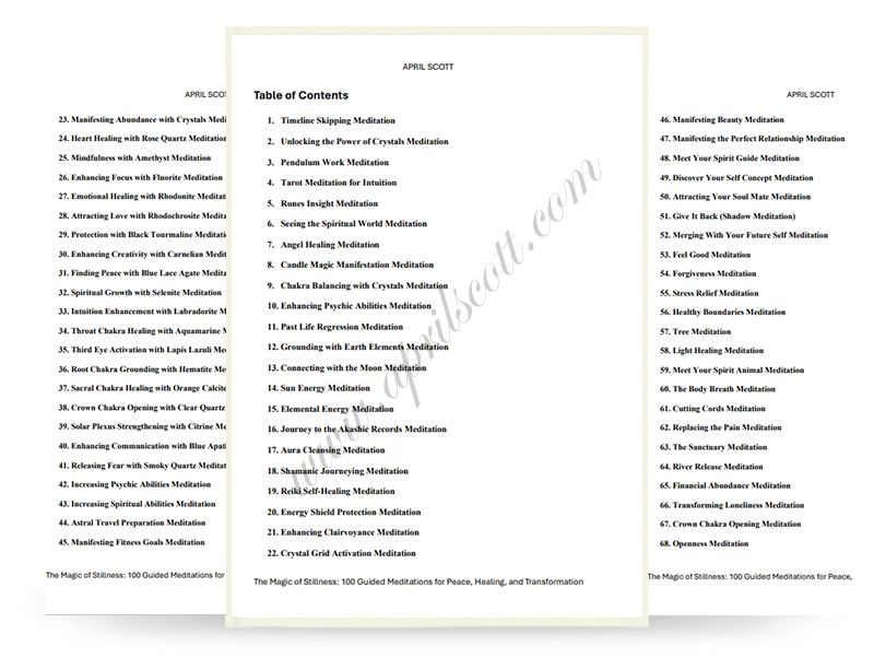 THE MAGIC OF STILLNESS