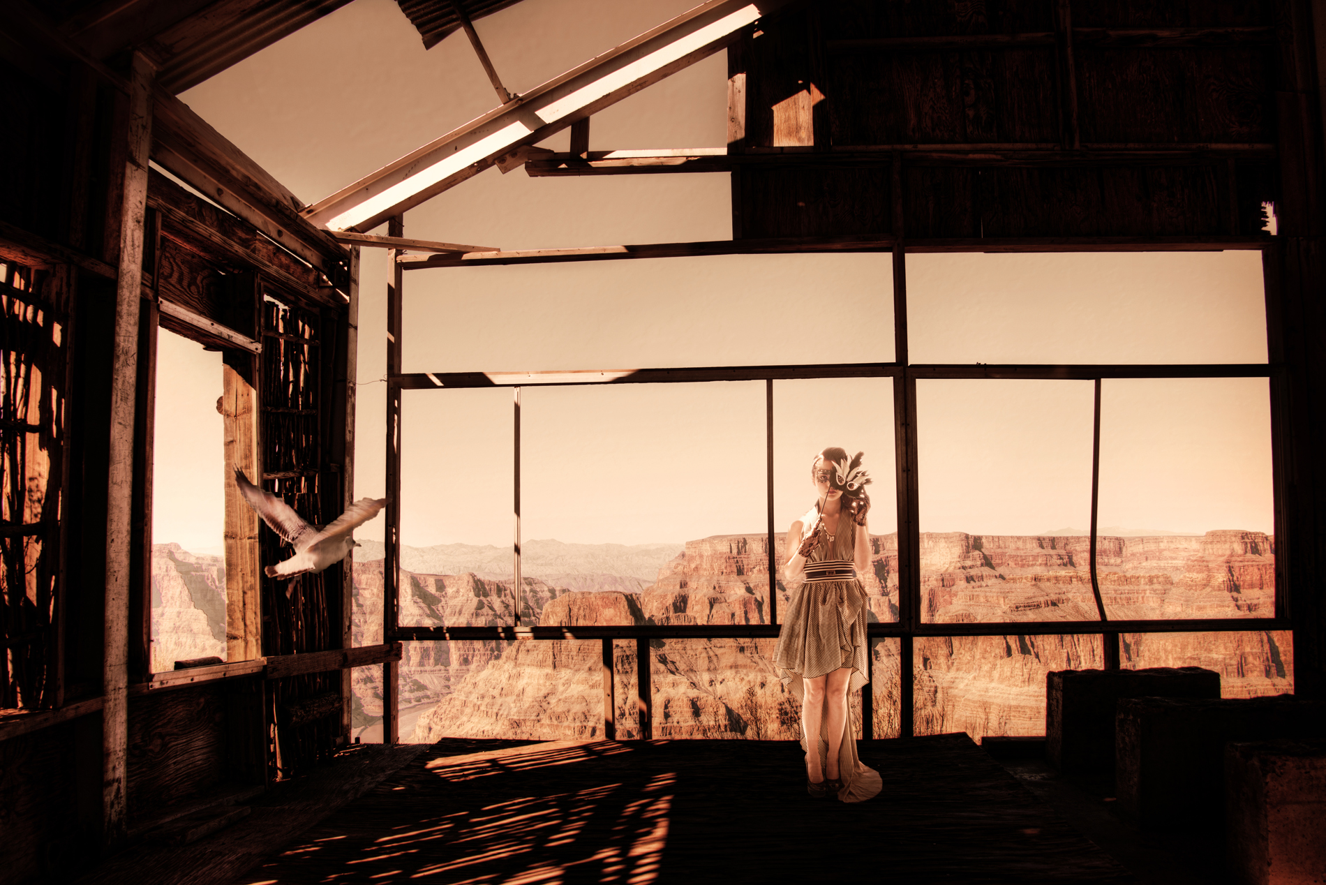 Cinematic Visionary Fine Art Video