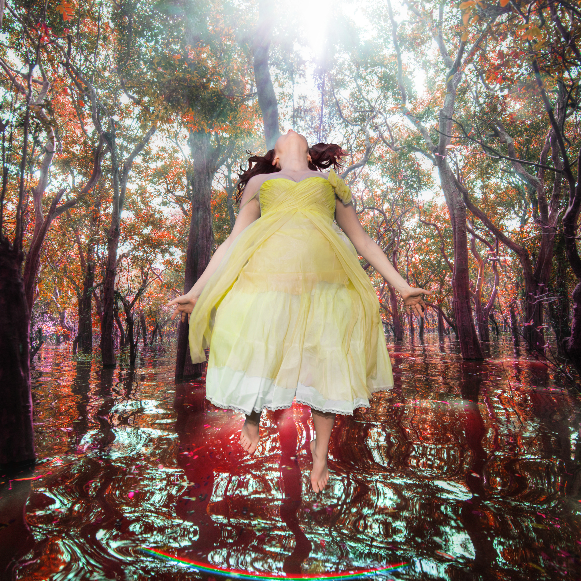 Cinematic Visionary Fine Art Video