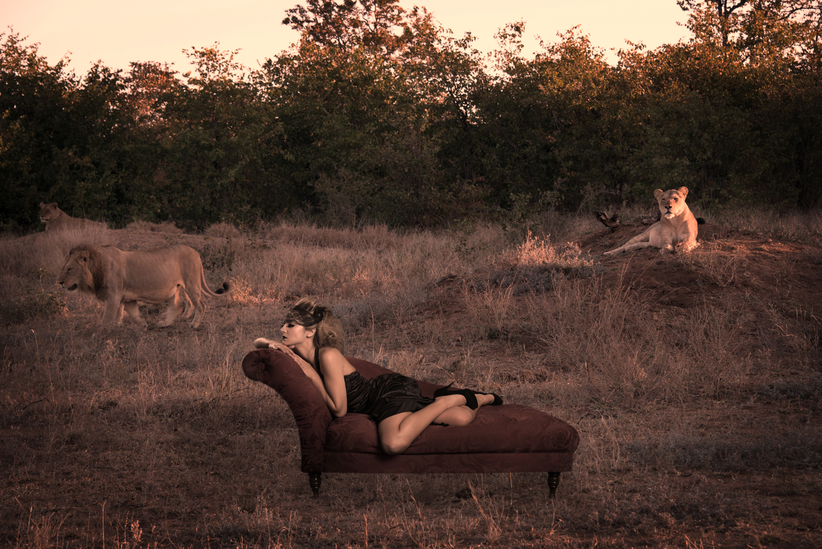 Cinematic Visionary Fine Art Video