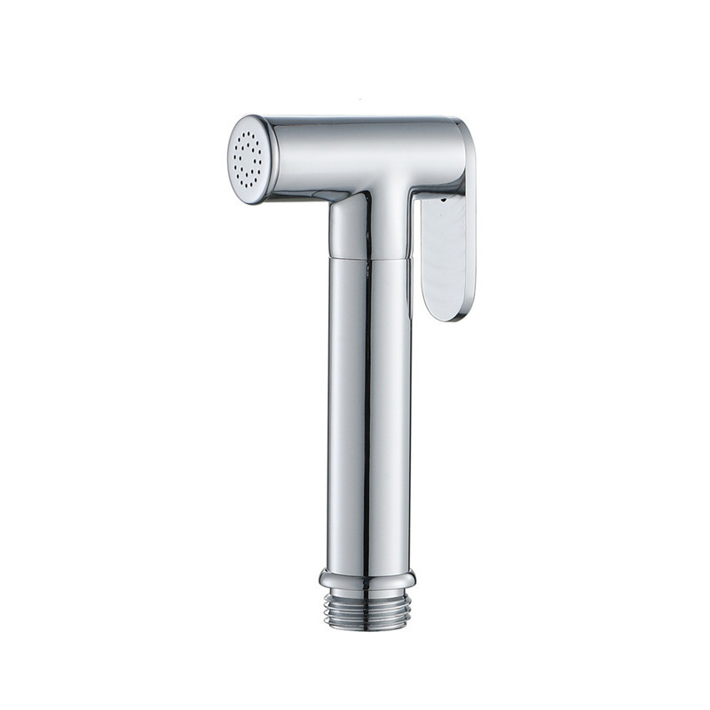 chrome shower spray