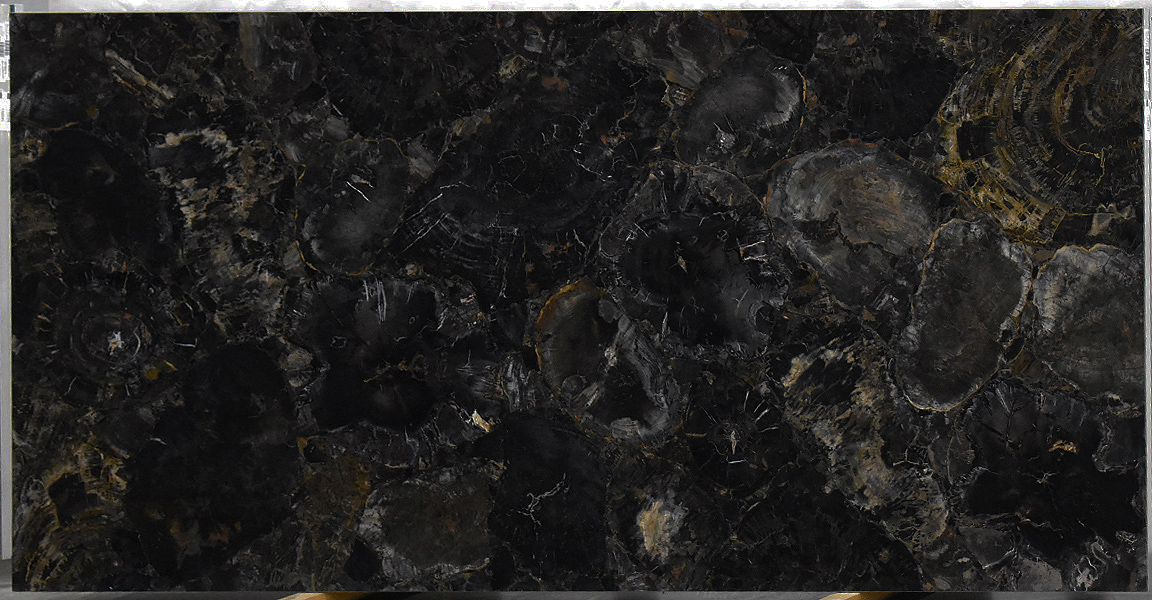 Petrified Black Wood 2cm