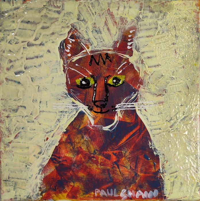 Pied Cat