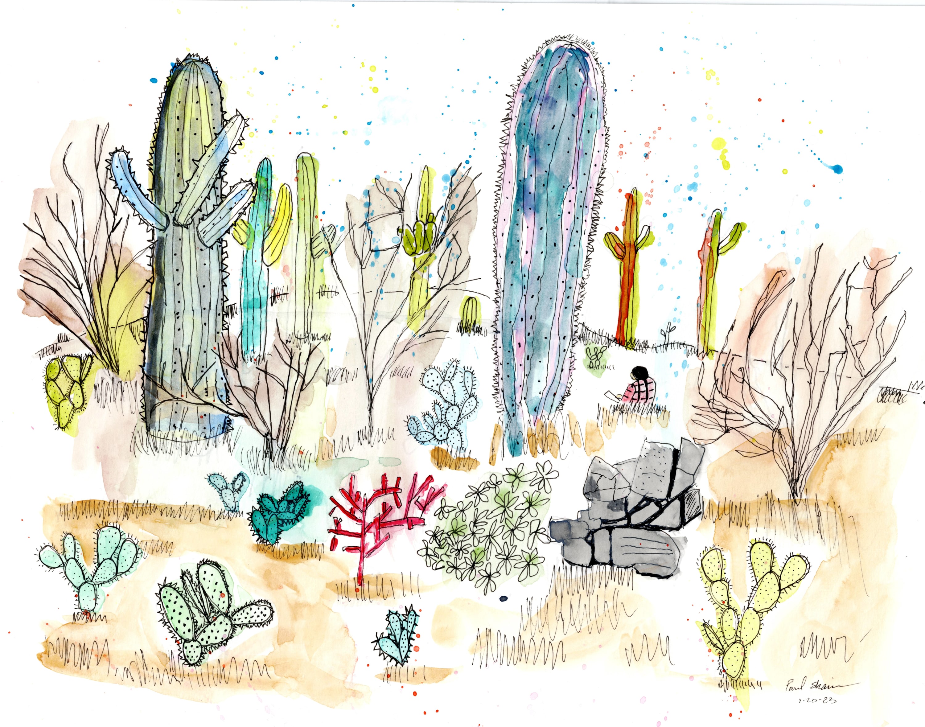 Saguaros