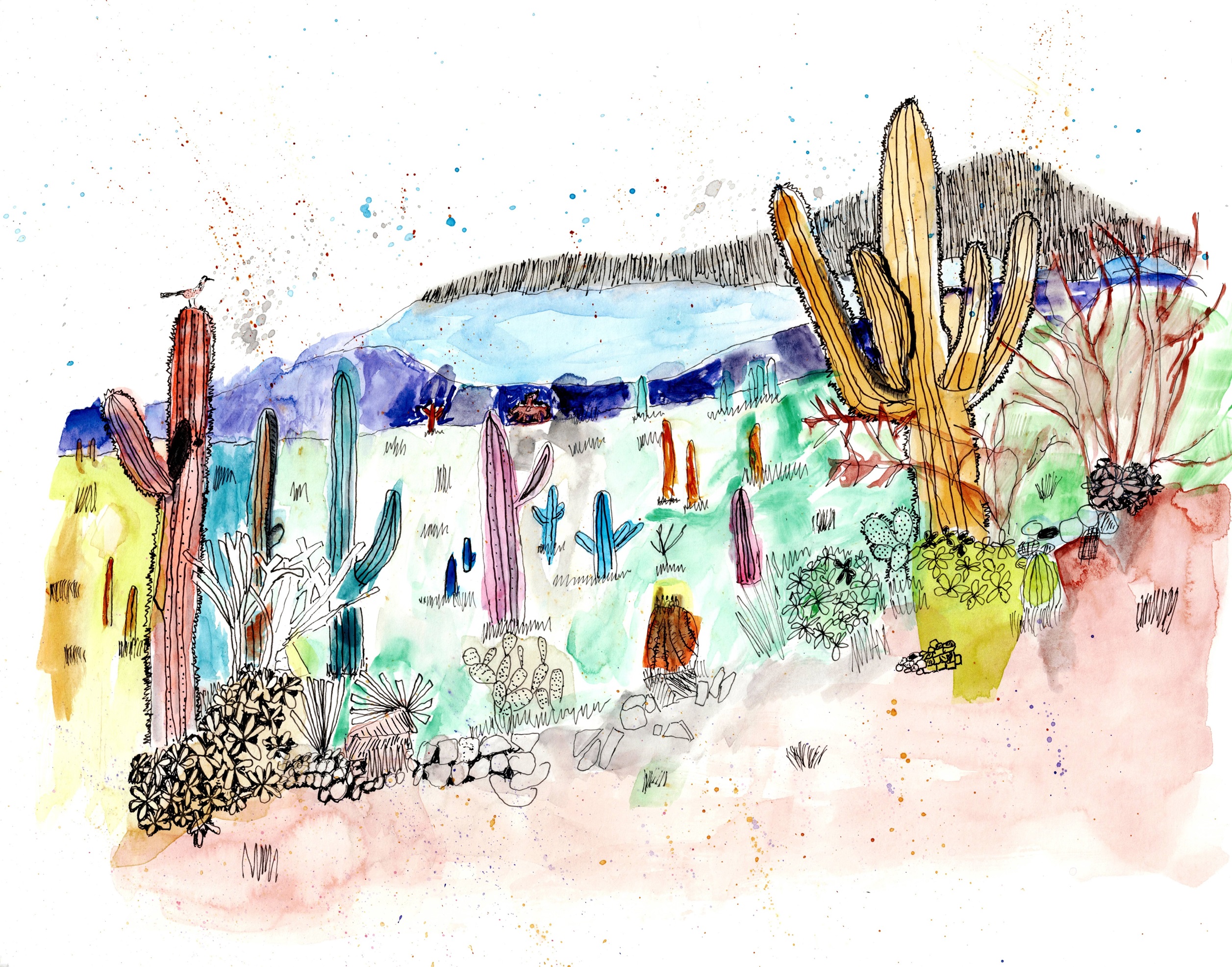 Lost in the Saguaros