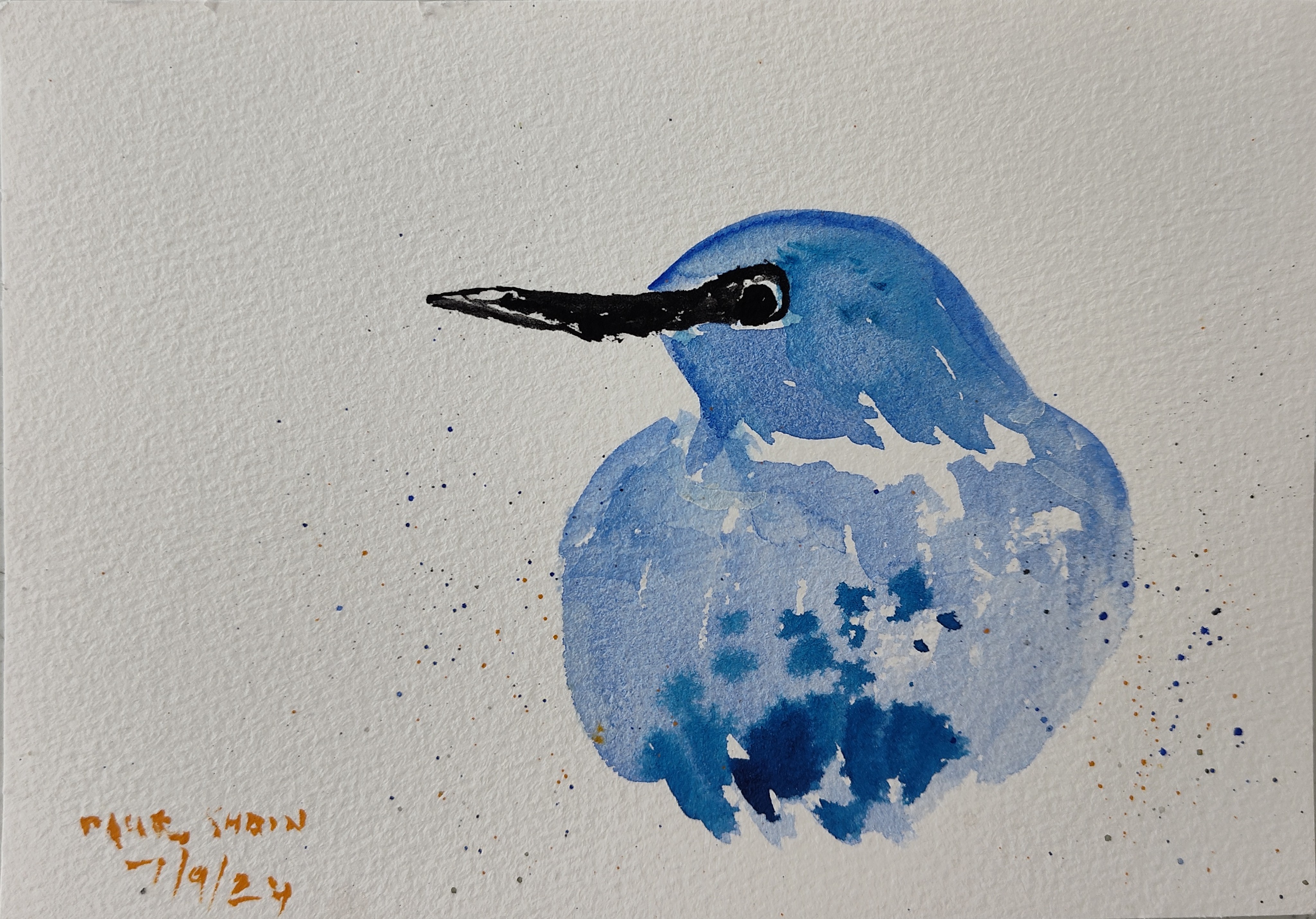 Verditer Flycatcher II