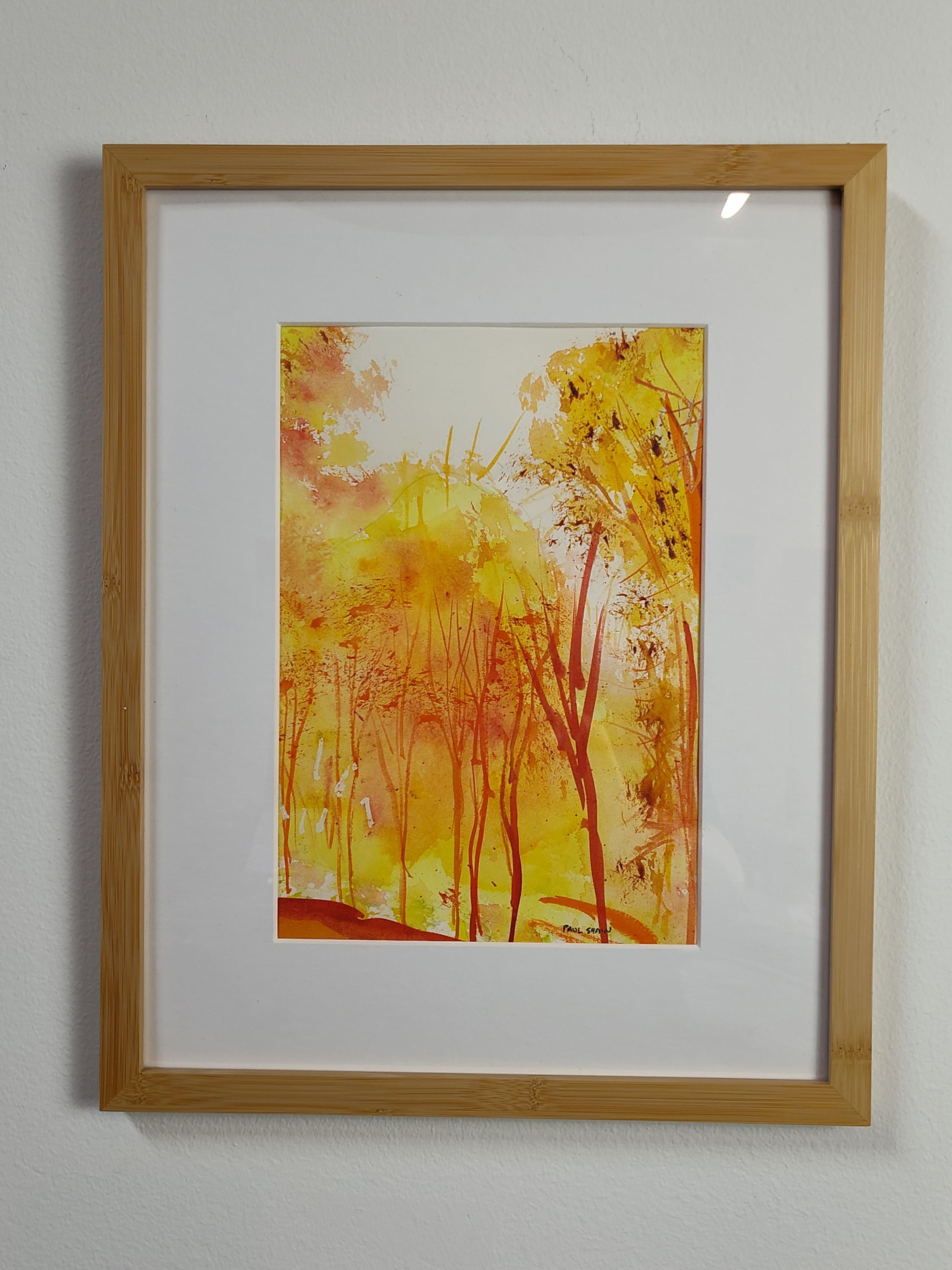 Autumn Forest