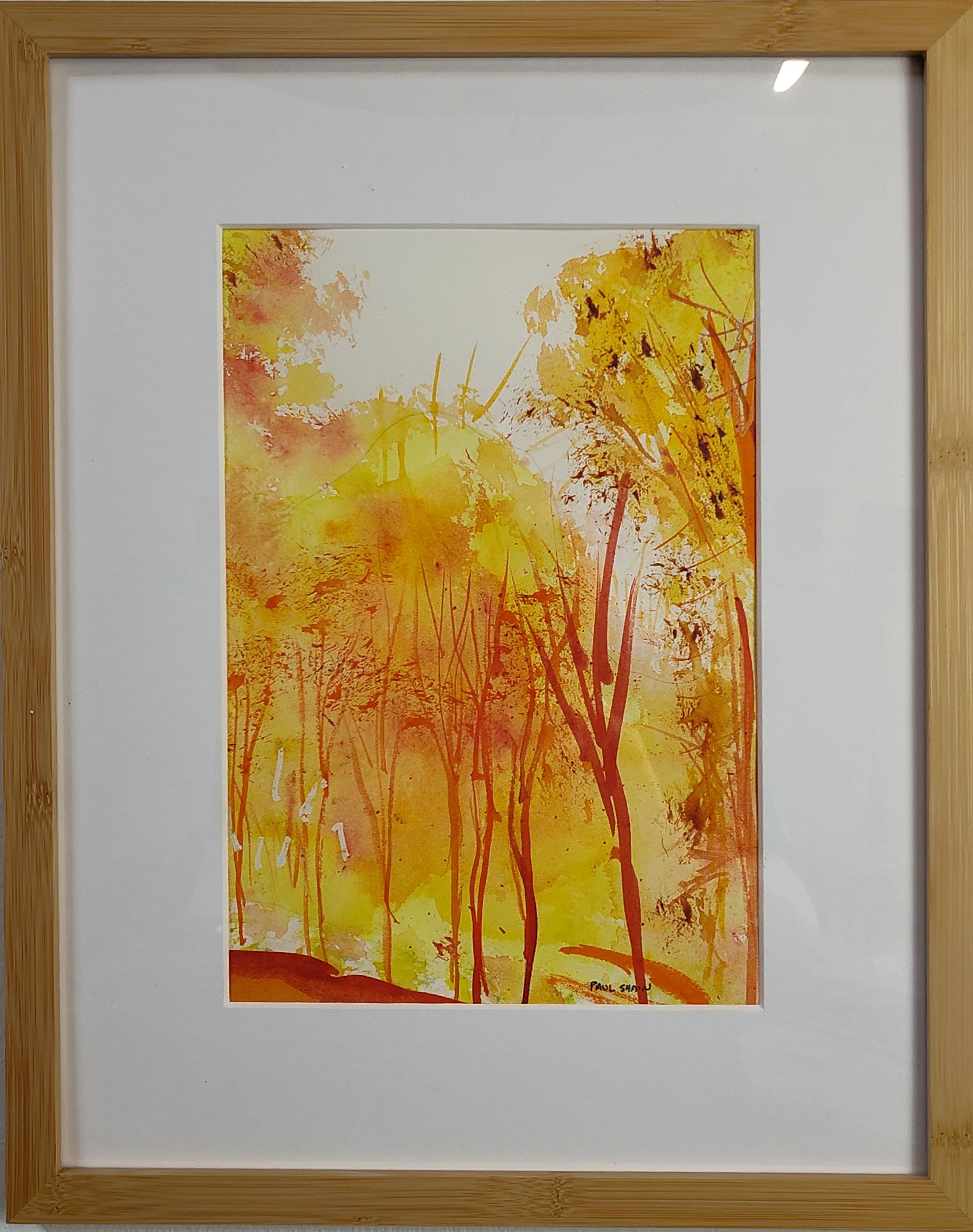Autumn Forest