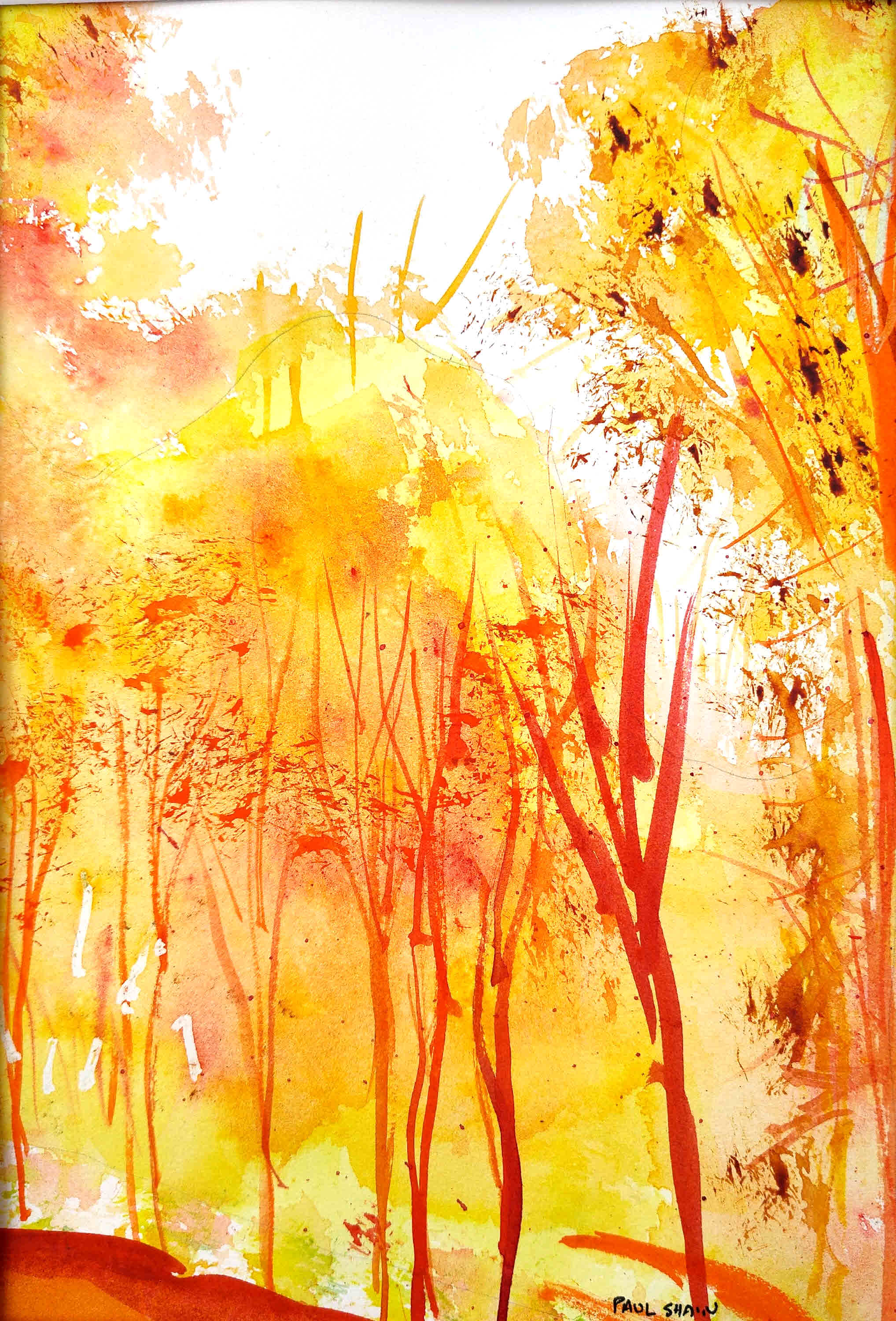 Autumn Forest note card