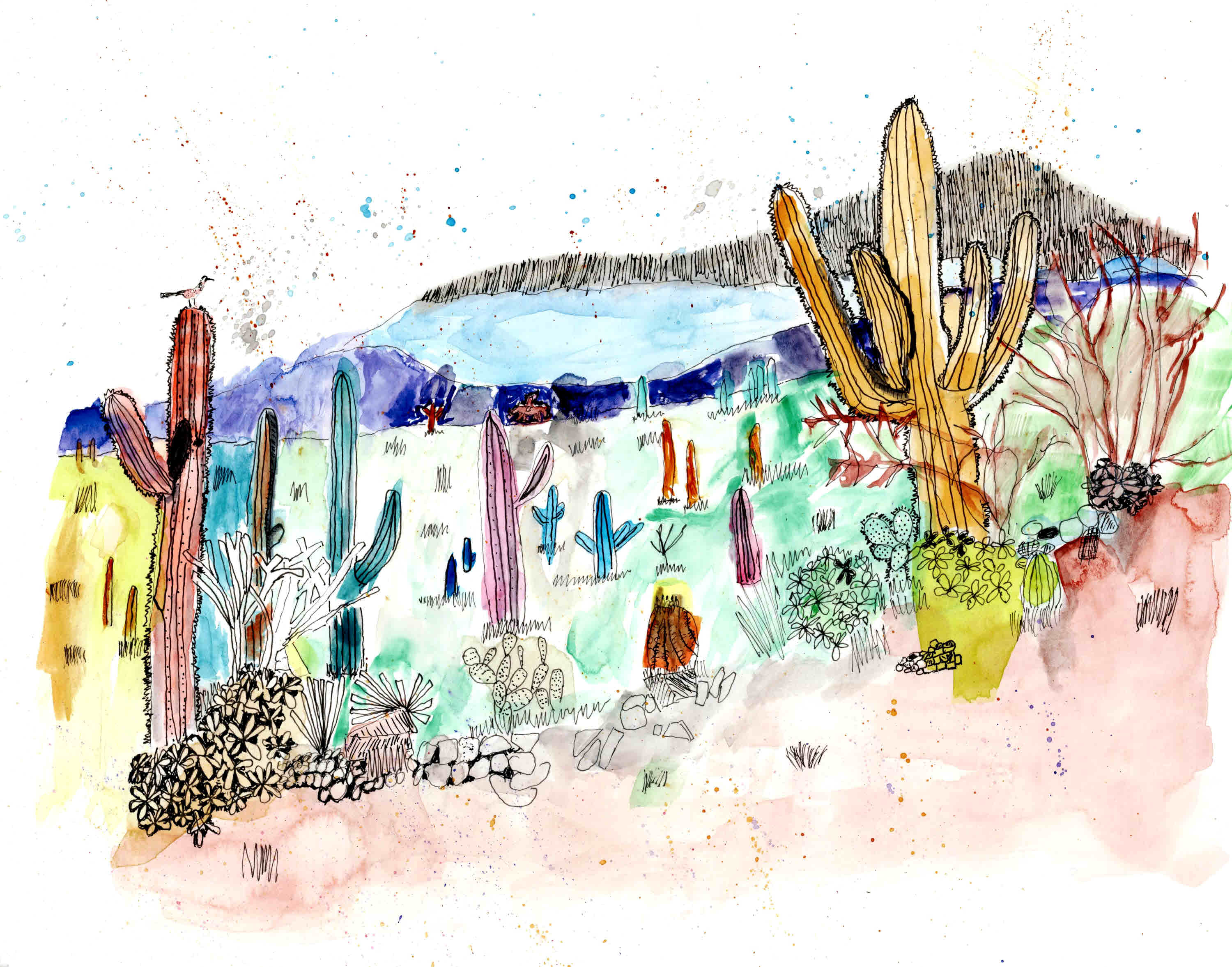Lost in the Saguaros note card