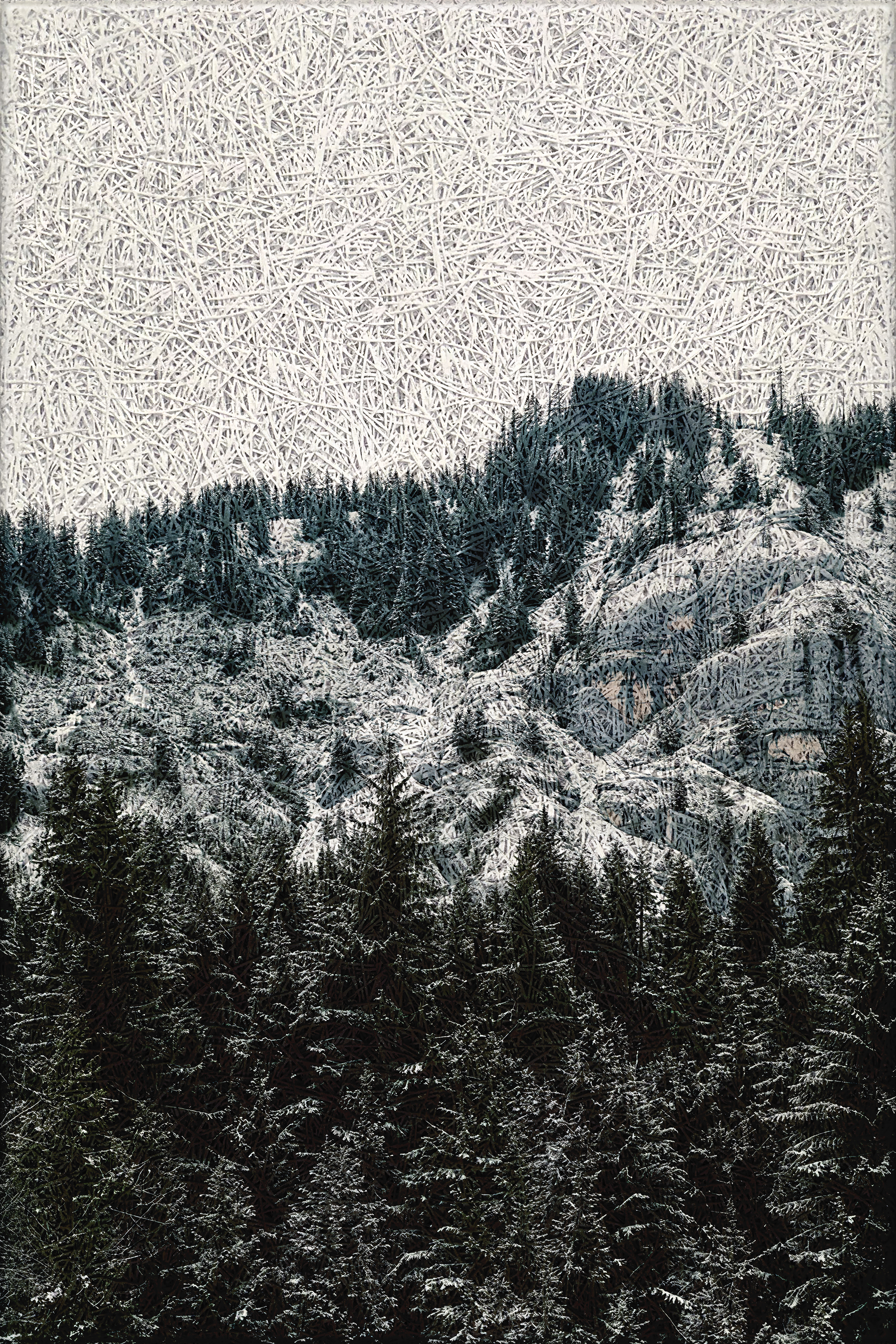 Alpine Winter Forest Acoustic Wall Panel