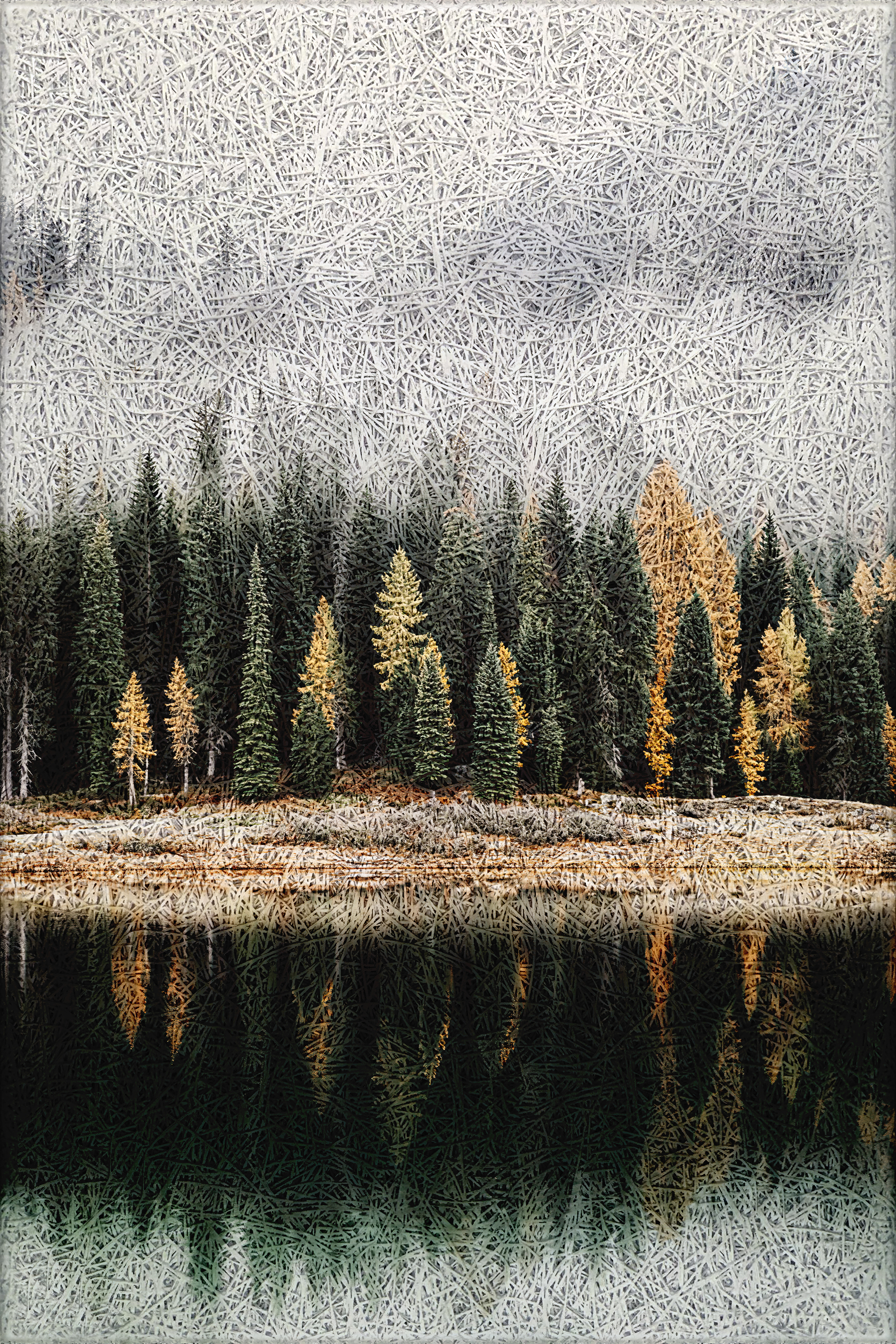 Forest Lake Reflection Acoustic Wall Panel