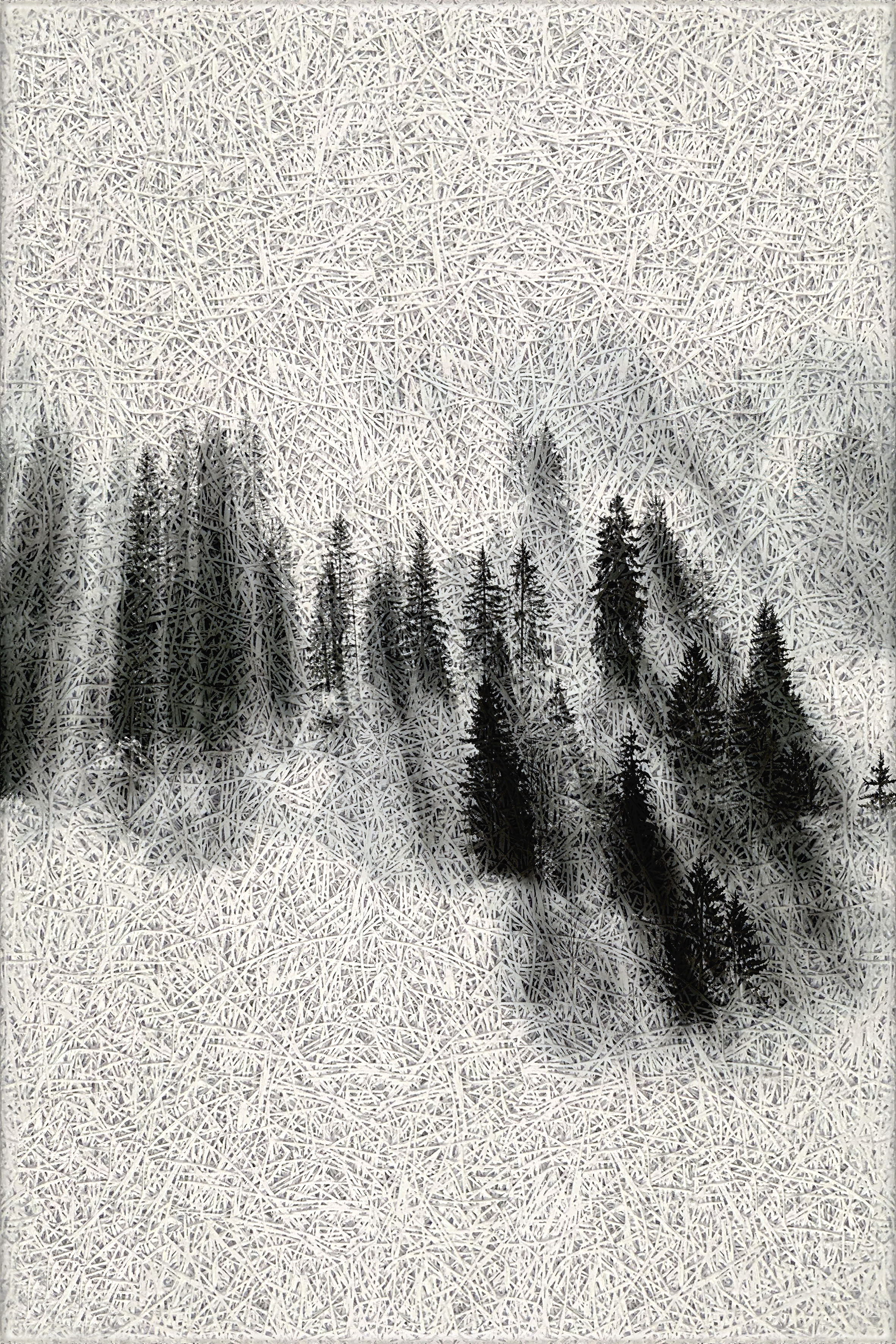 Black Forest Acoustic Wall Panel