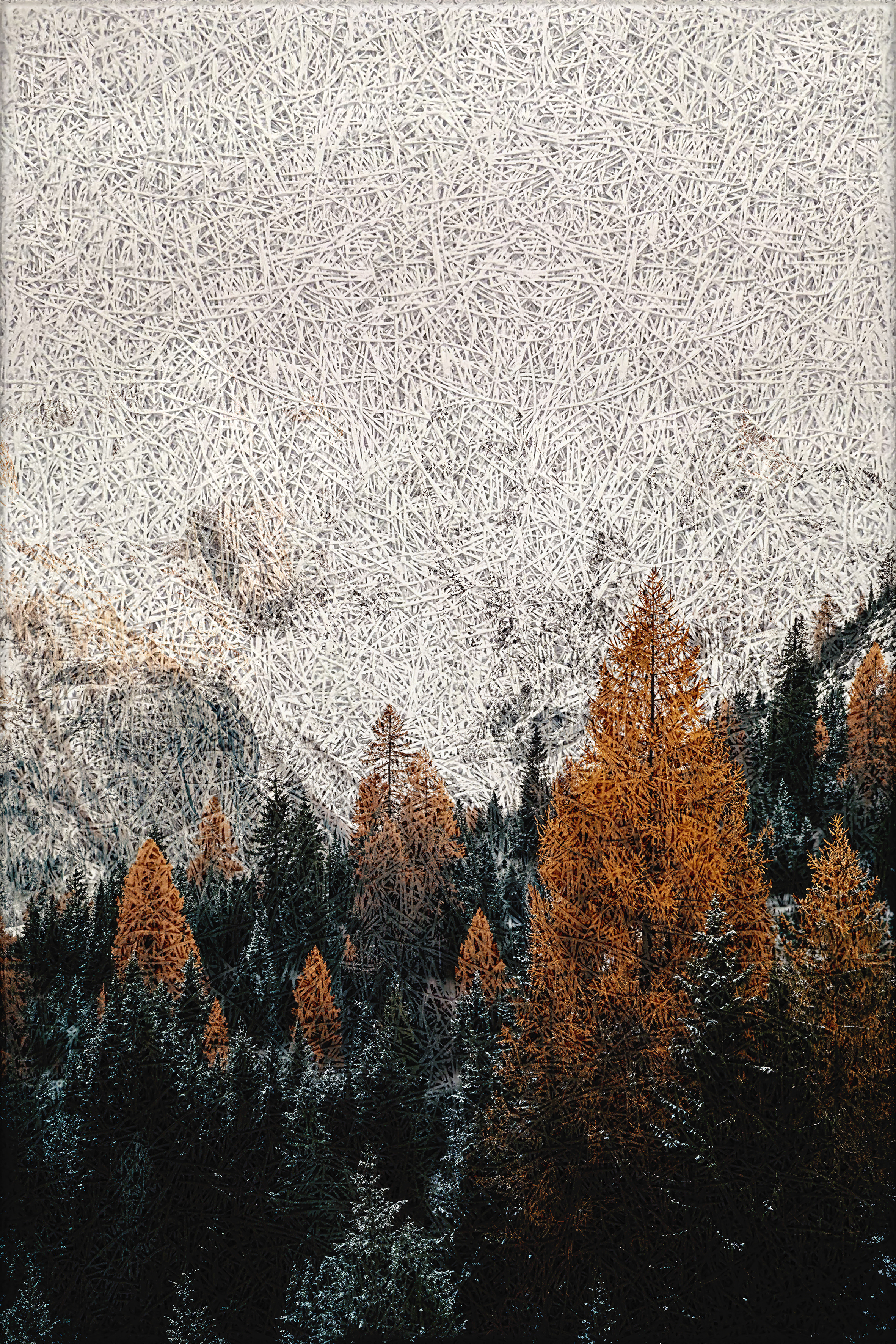 Autumn Forest Acoustic Wall Panel