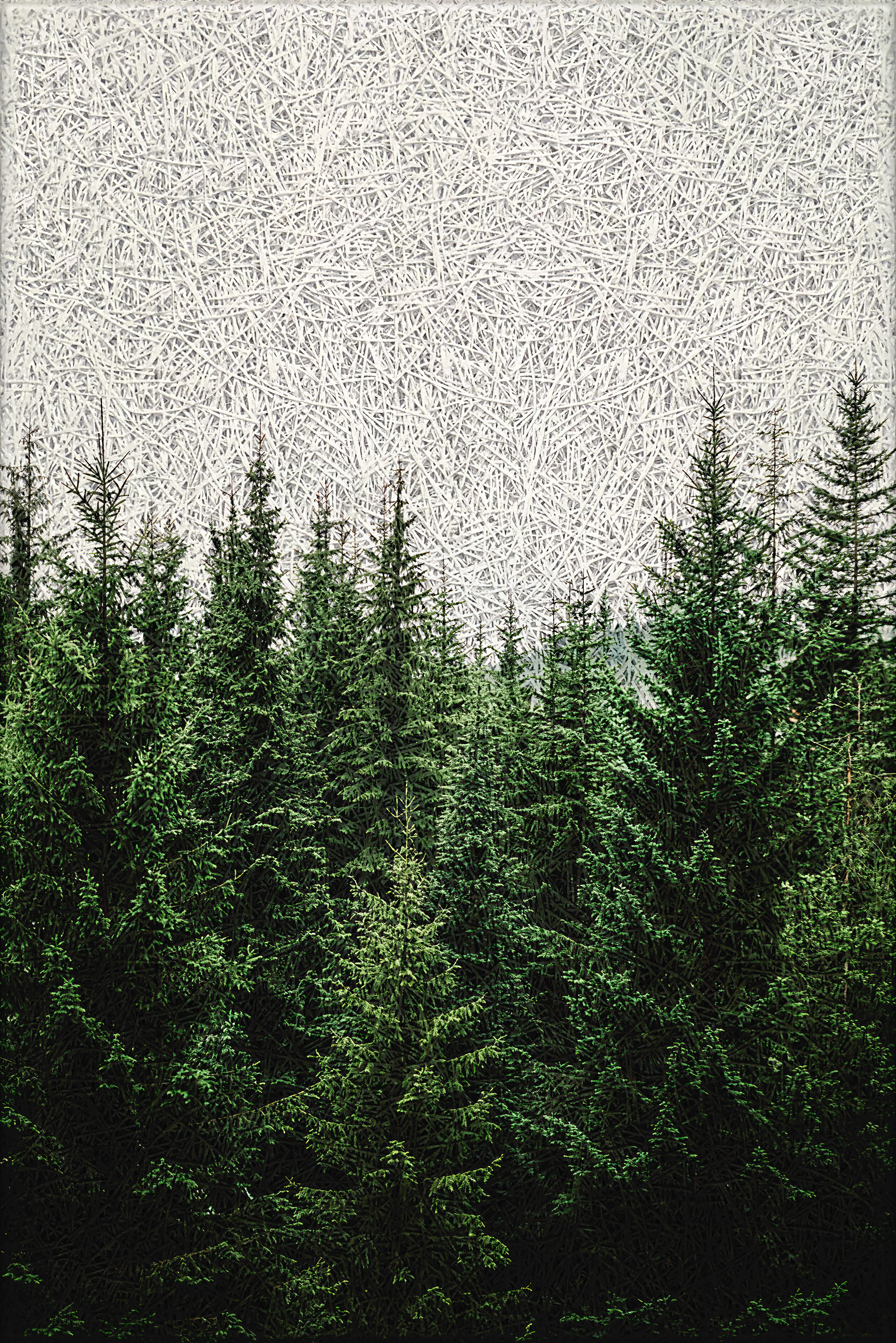 Emerald Evergreen Acoustic Wall Panel