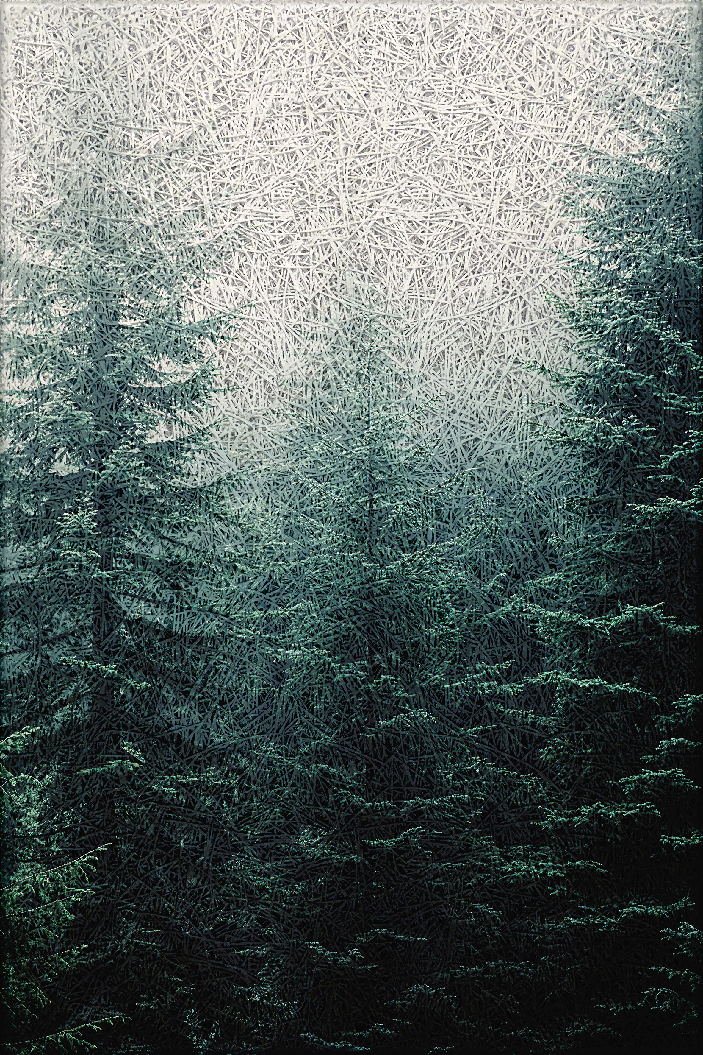 Enchanted Forest Acoustic Wall Panel