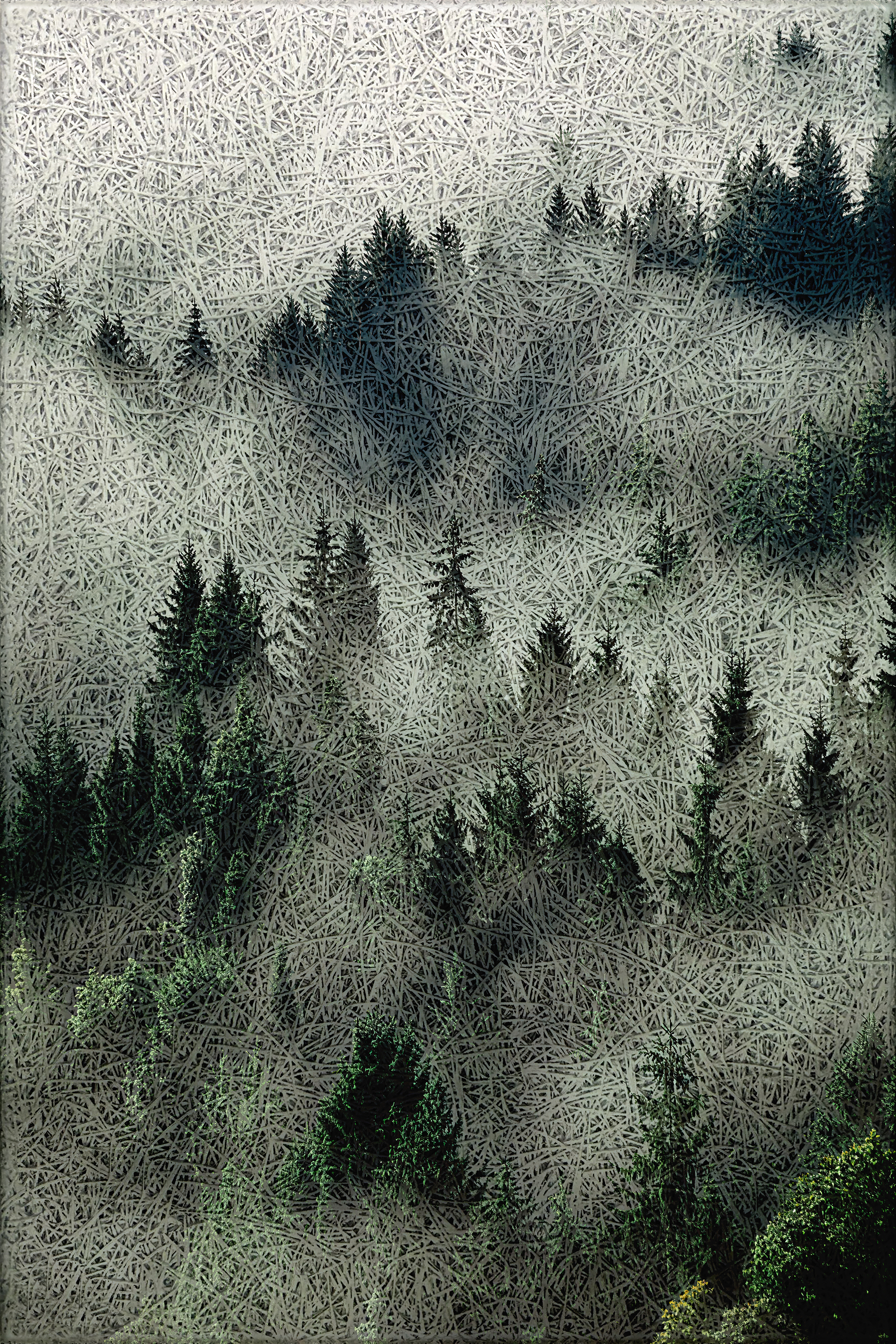 Misty Forest Acoustic Wall Panel